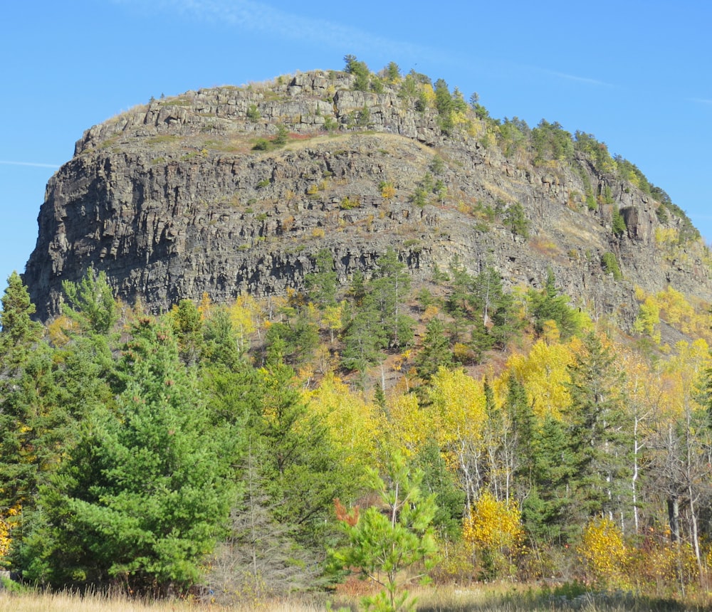 green trees on brown mountain under blue sky during daytime