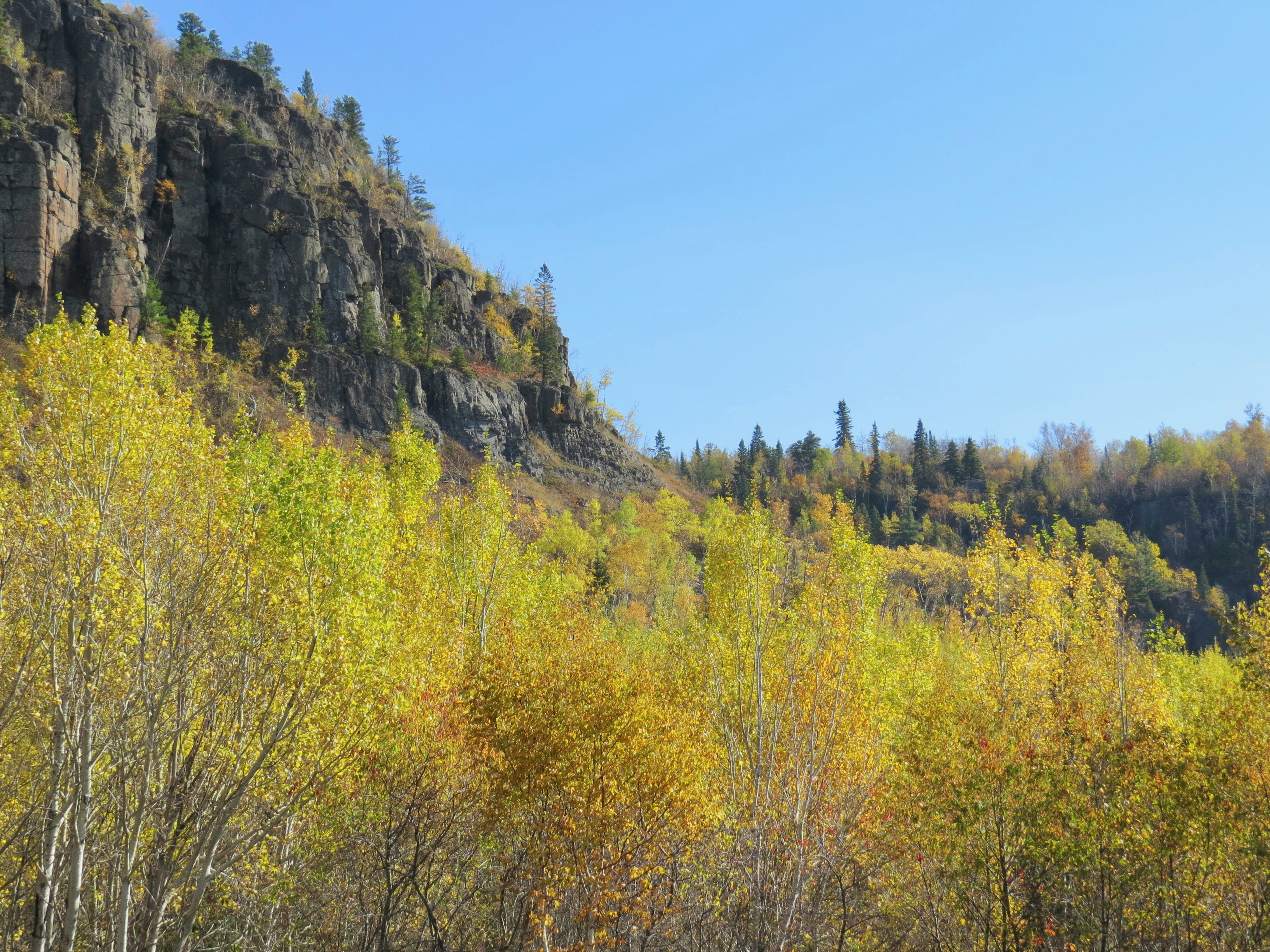 Photo by jaimedantas