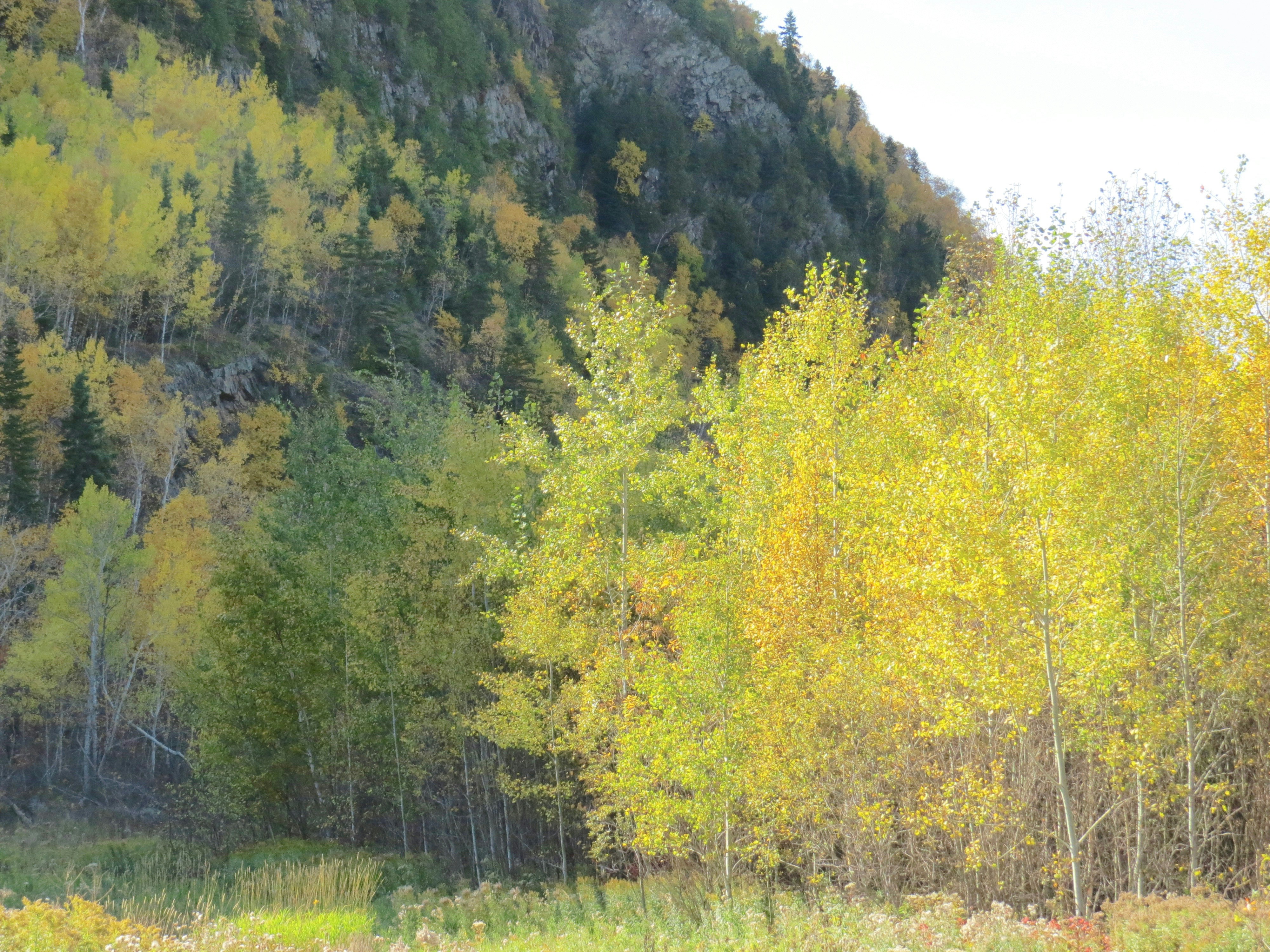 Photo by jaimedantas