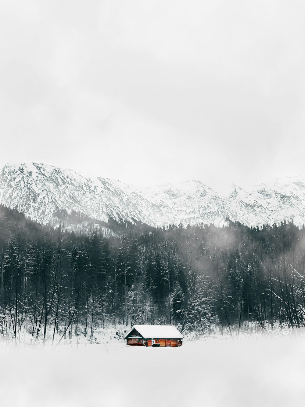 昼間の木々と雪に覆われた山の近くの茶色い家