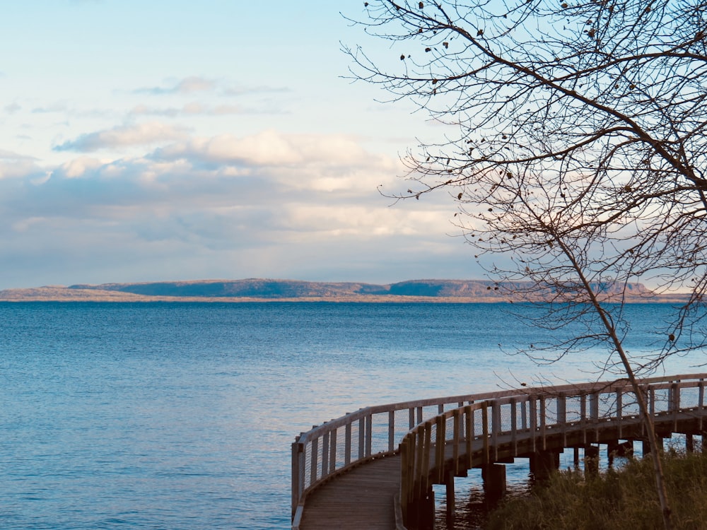 brown wooden dock on blue sea under blue sky during daytime