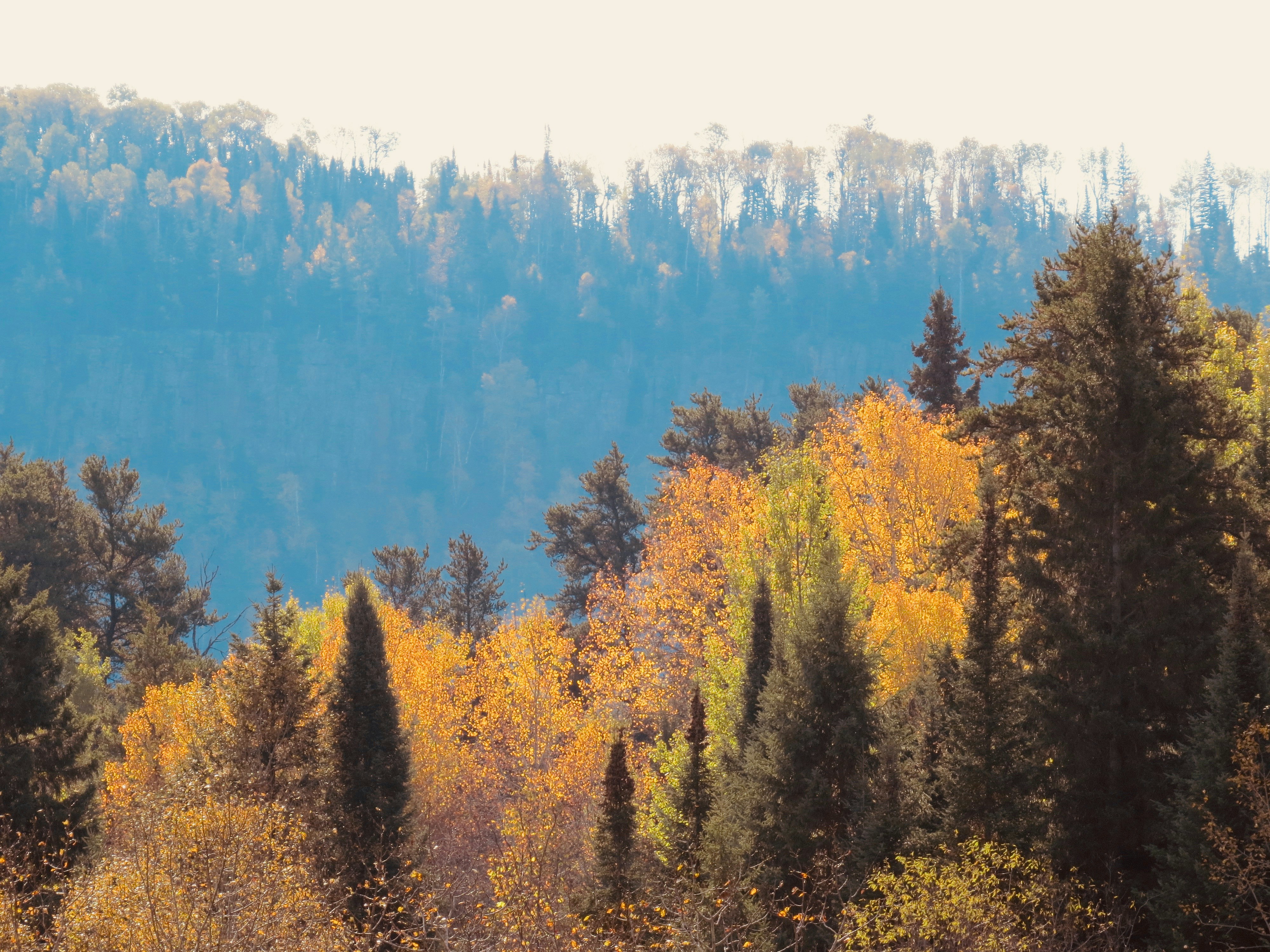 Photo by jaimedantas