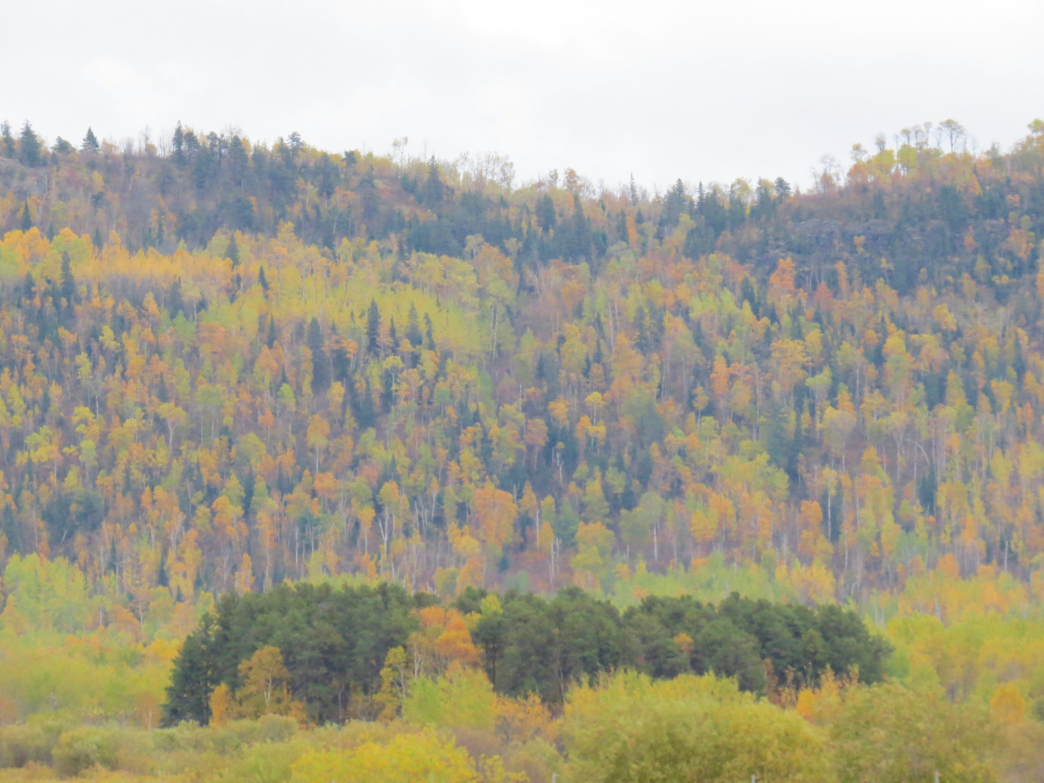 Photo by jaimedantas