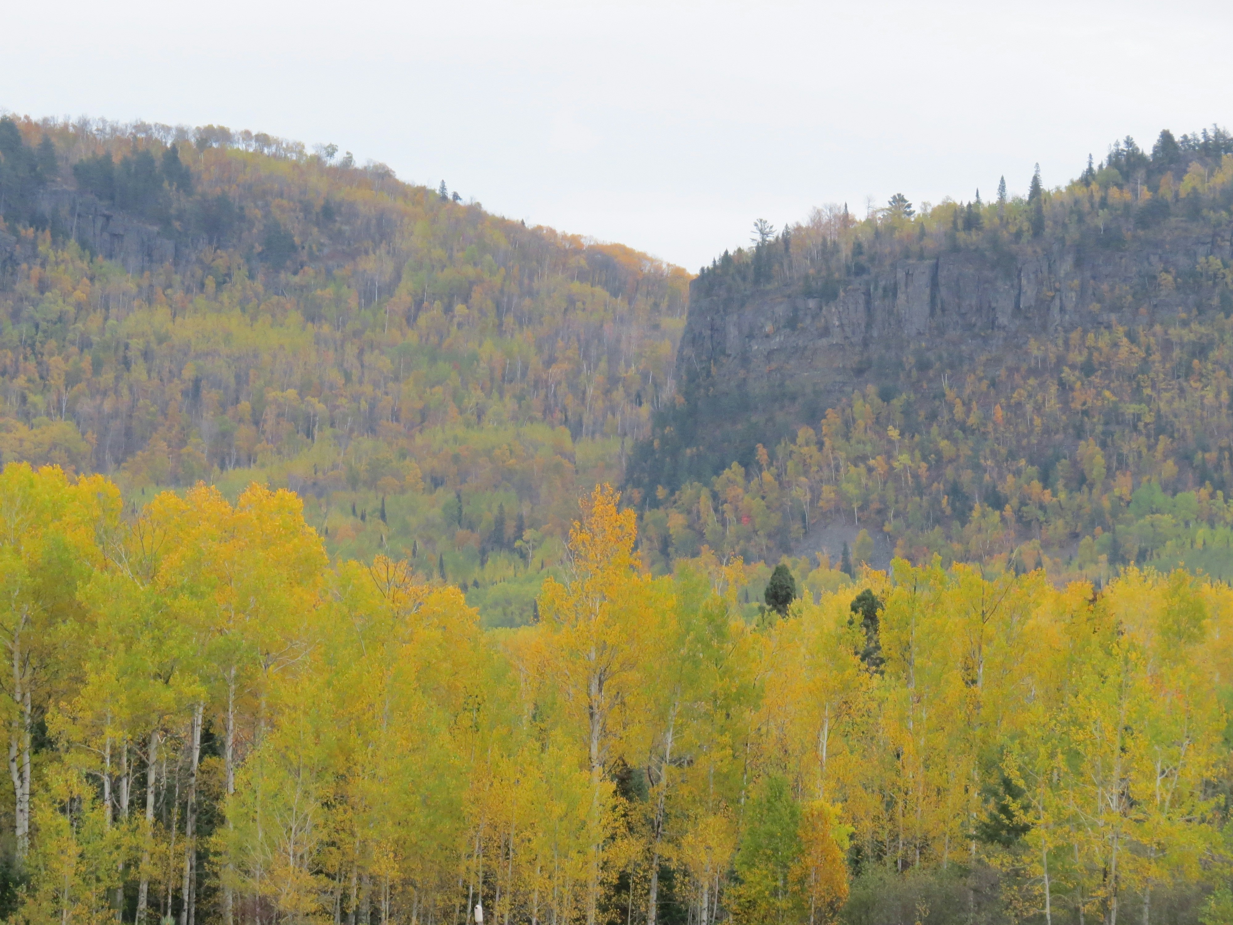 Photo by jaimedantas