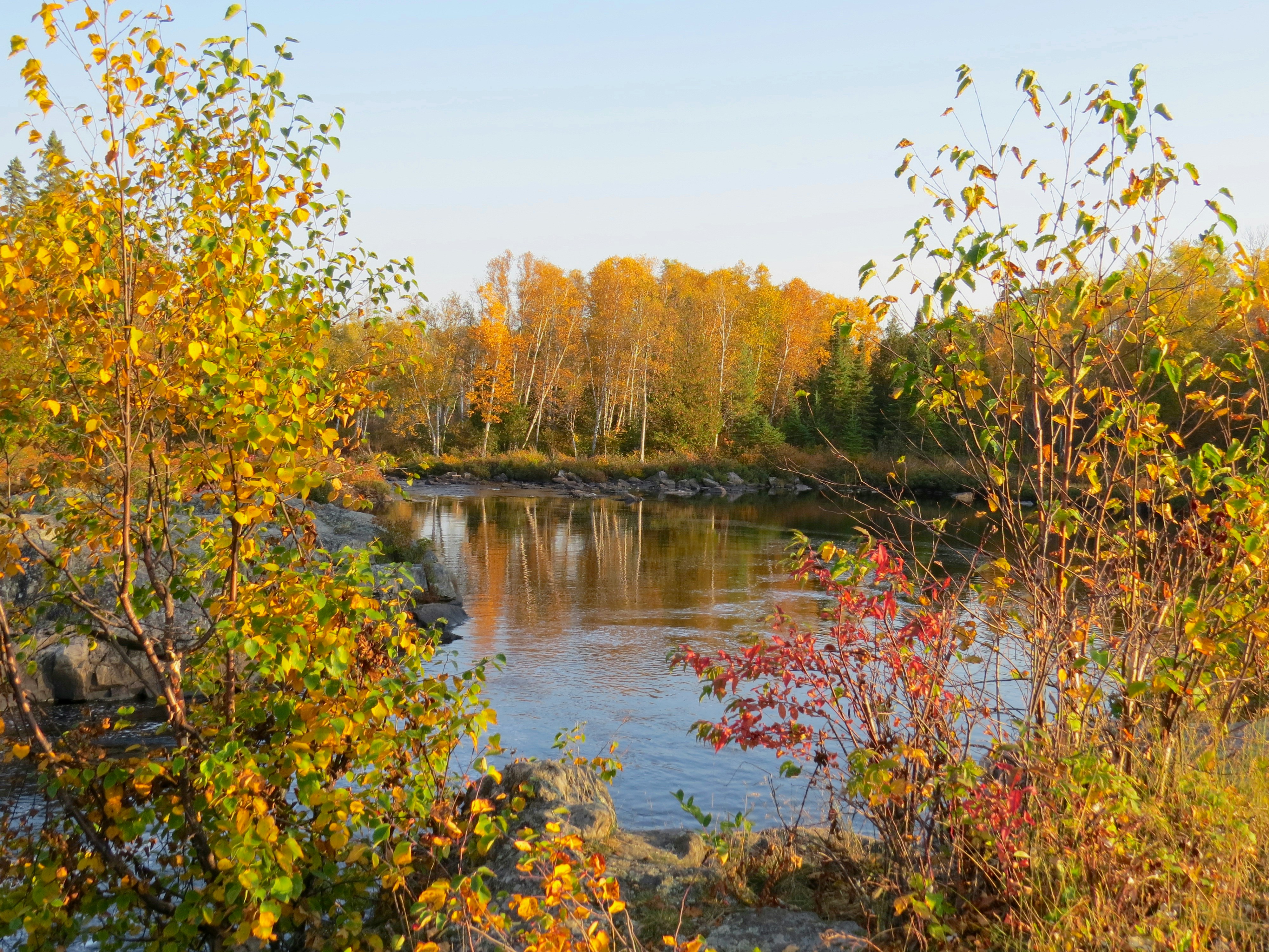 Photo by jaimedantas