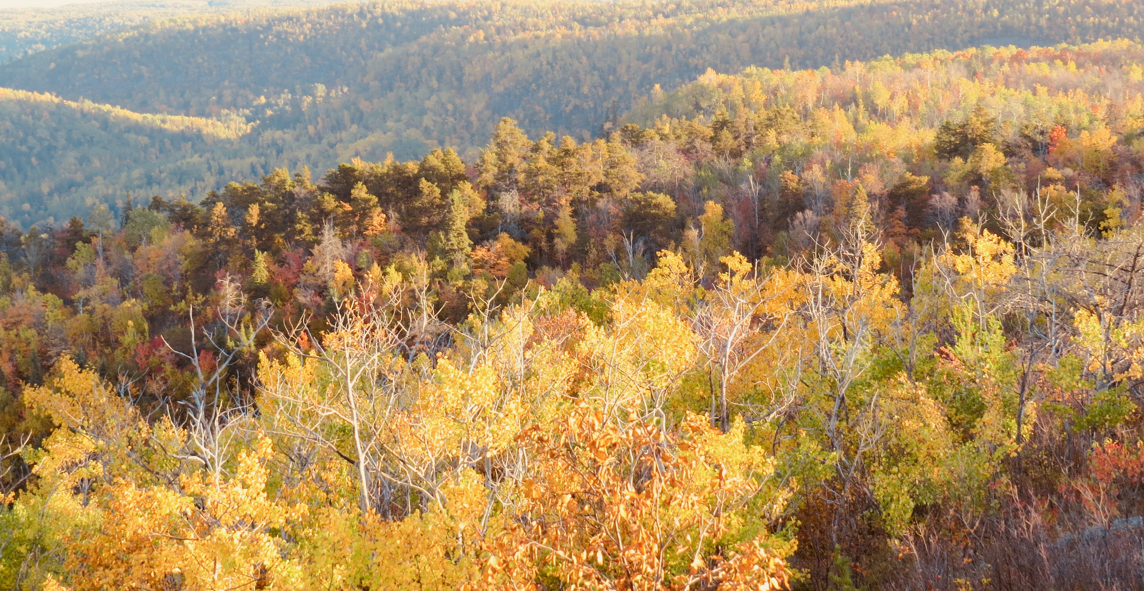 Photo by jaimedantas