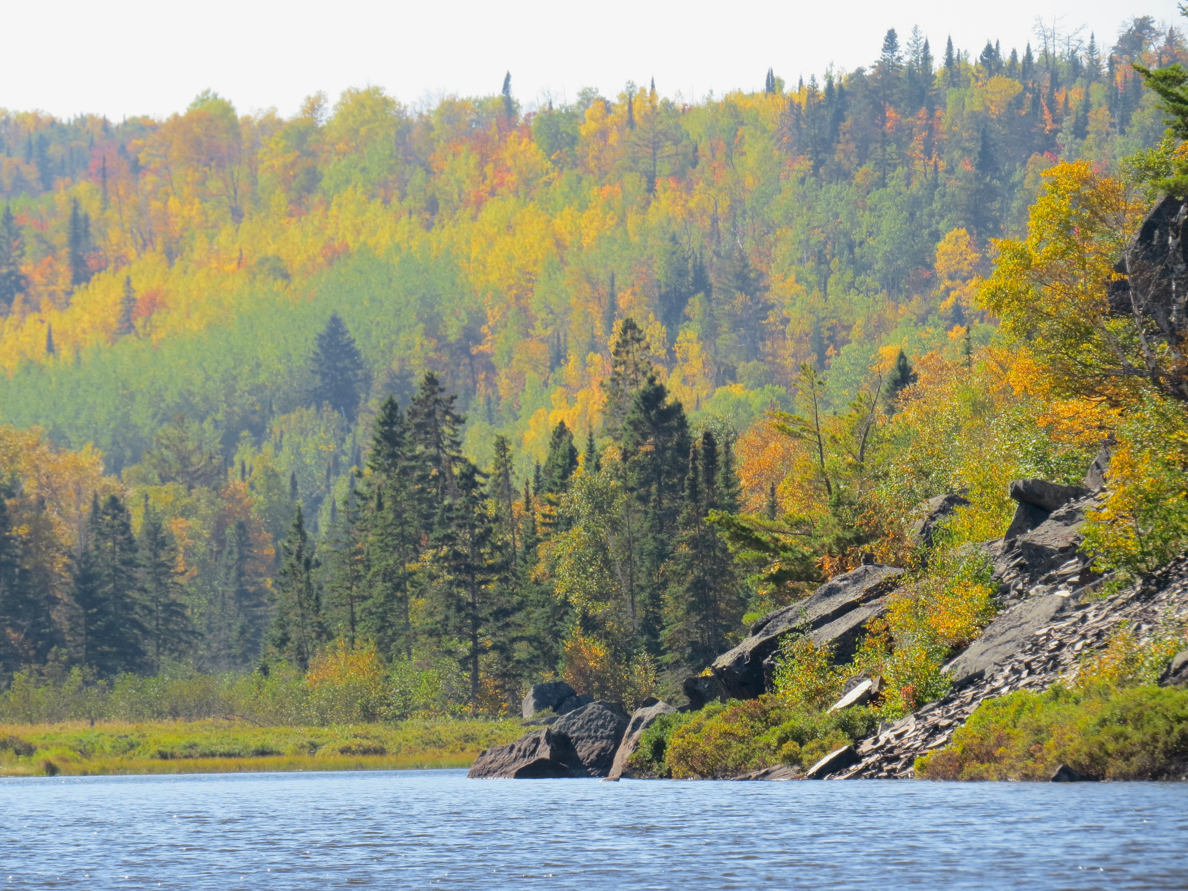 Photo by jaimedantas