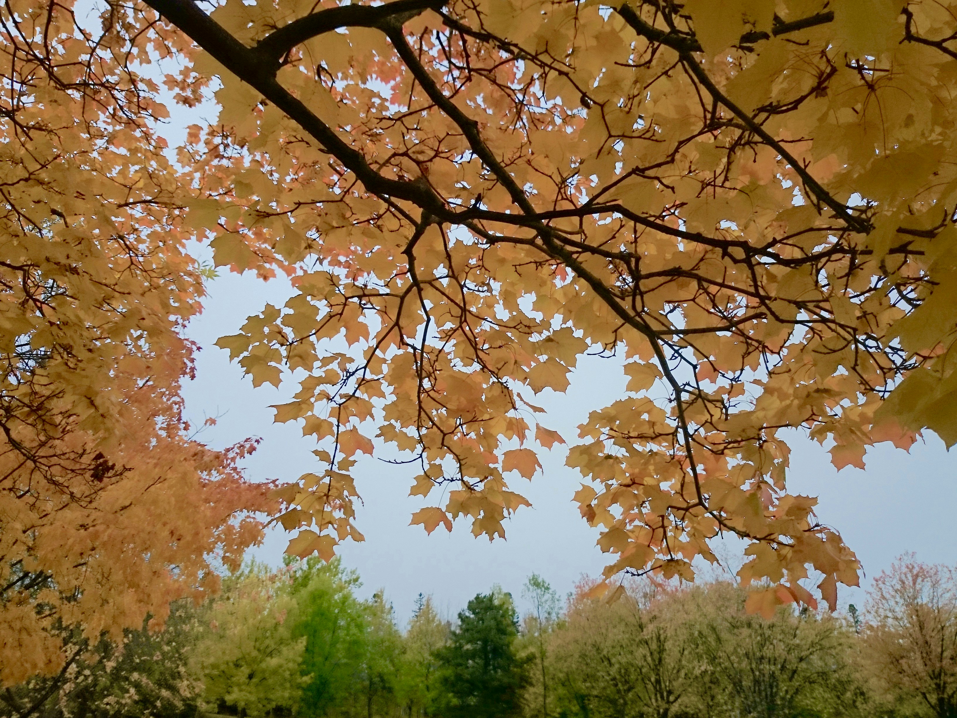 Photo by jaimedantas