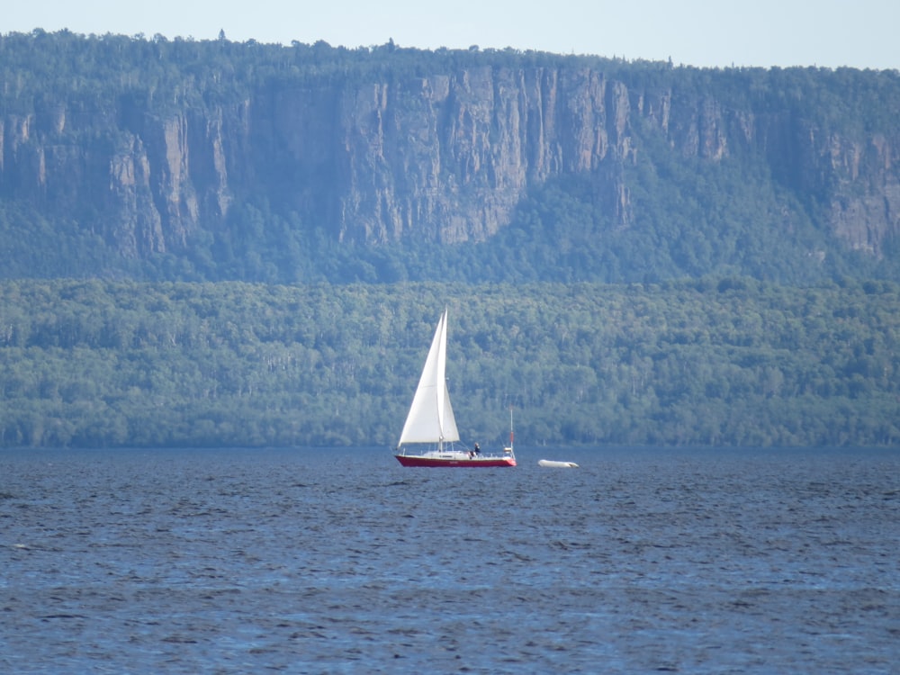 white and red sailboat on sea during daytime