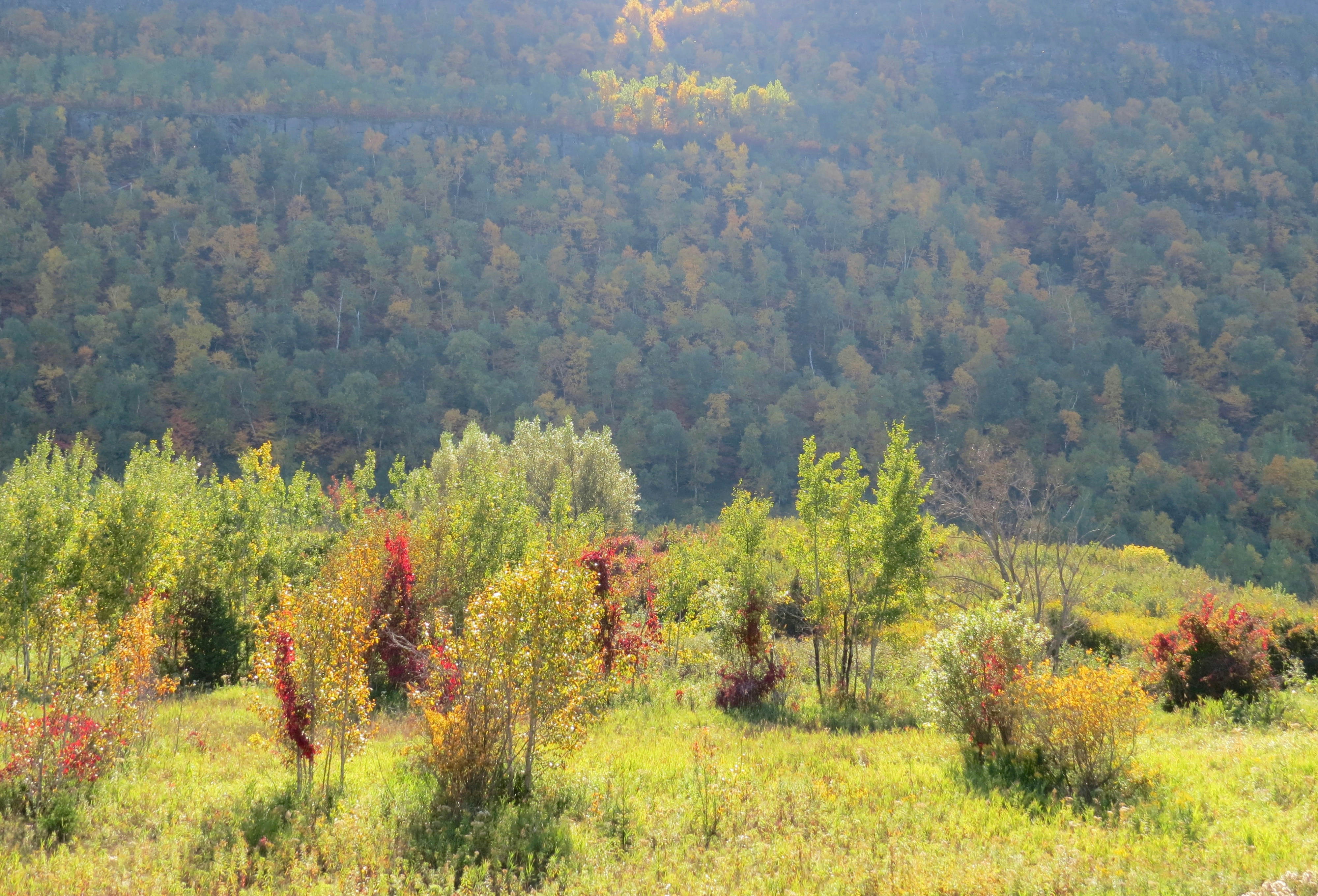 Photo by jaimedantas