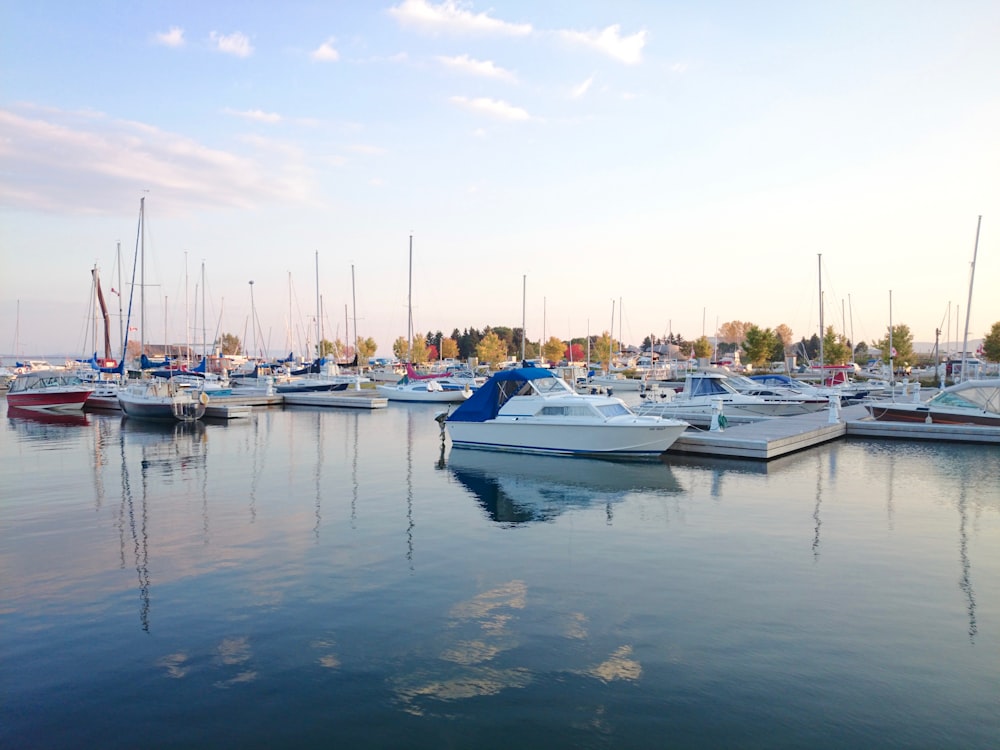 white and blue boats on sea during daytime