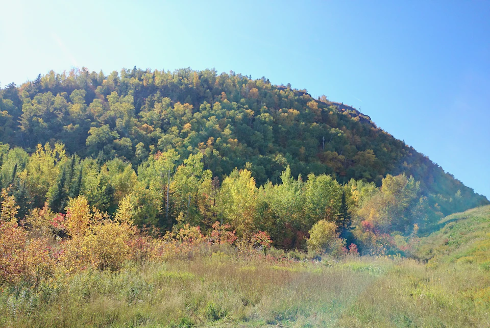 The image depicts a serene autumn scene on a hillside, with a lush green forest and trees displaying vibrant hues of yellow, orange, and red leaves. The sky above is a clear blue, providing a beautiful backdrop to the colorful foliage below. The perspective of the photo is from ground level, looking up at the hillside, which enhances the sense of being immersed in nature's beauty.