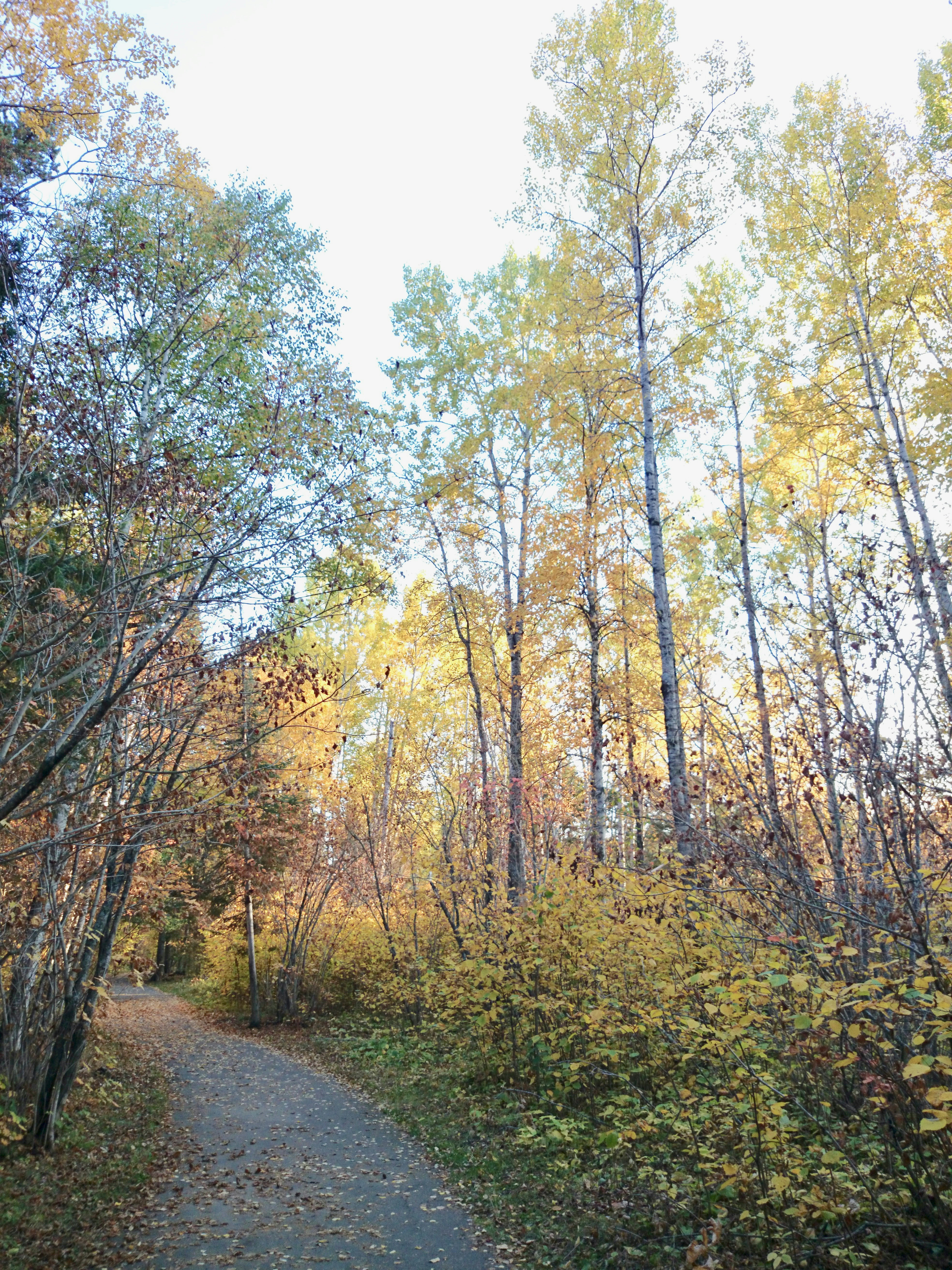 Photo by jaimedantas