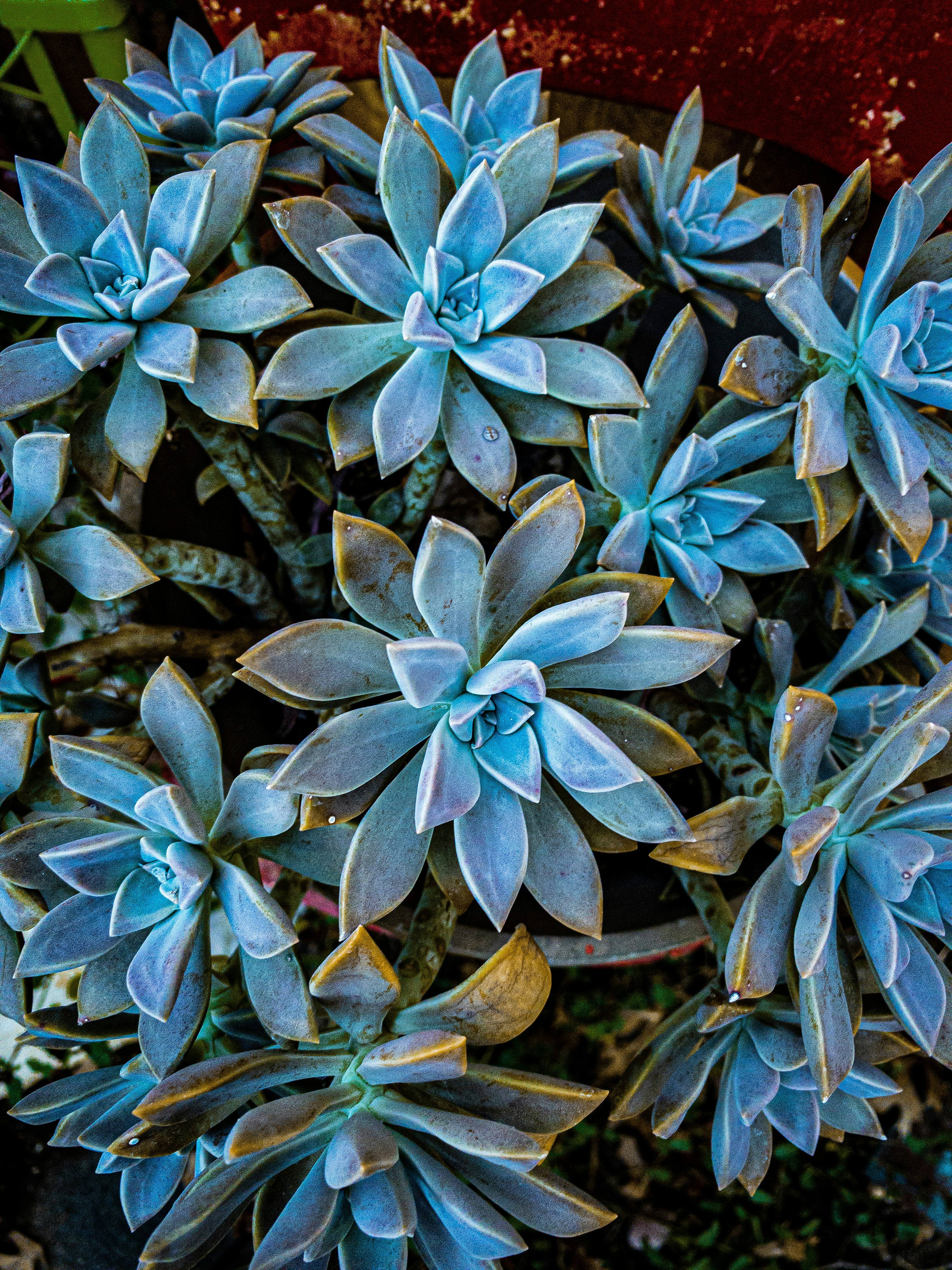 Photo by huntergordon