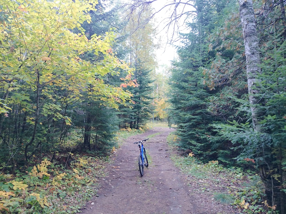 uomo in giacca nera che va in bicicletta sul sentiero tra gli alberi verdi durante il giorno