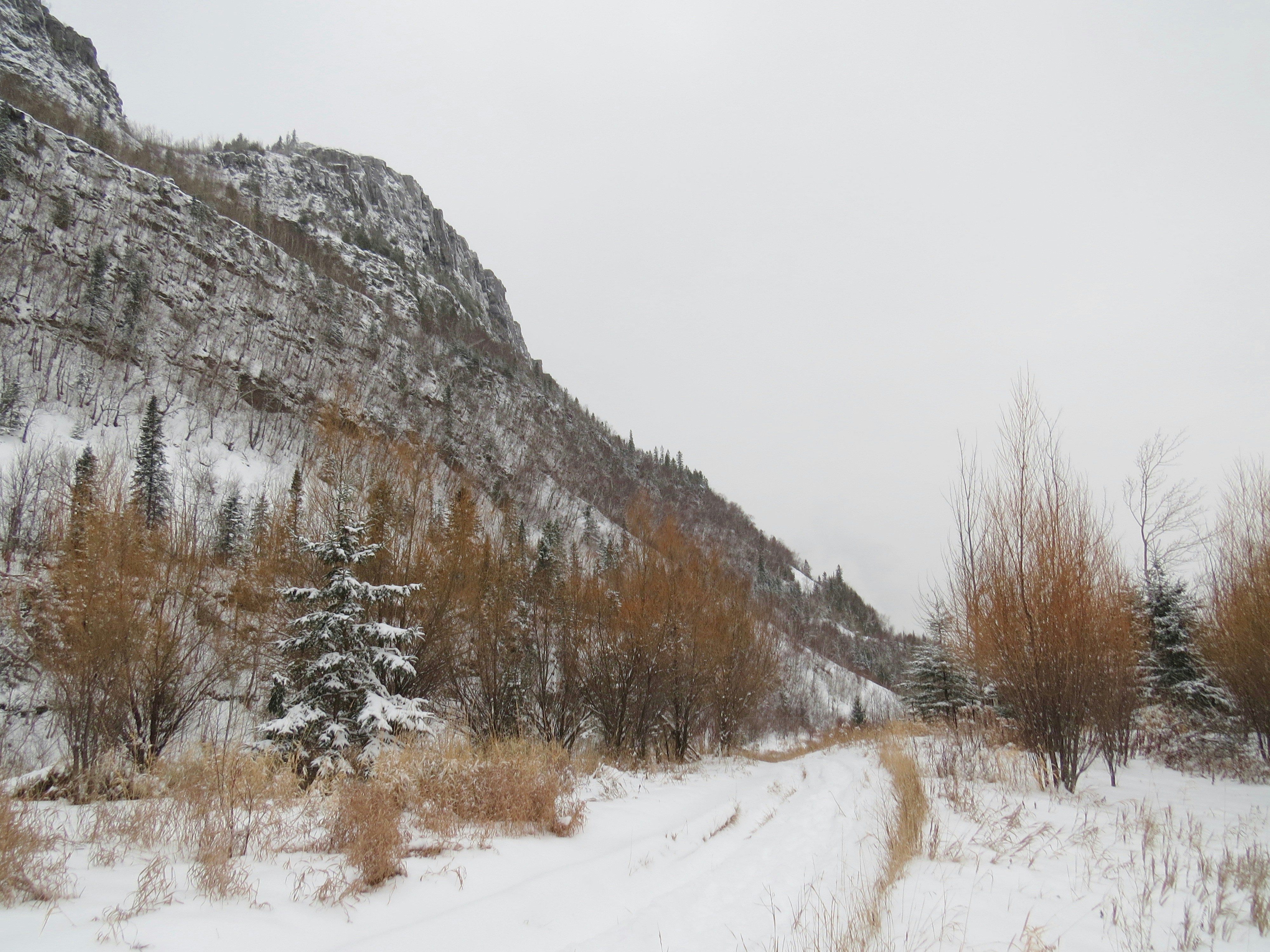 mountain wilderness trail wallpaper, wallpaper, Difference Between Trekking and Hiking: A Complete Guide 5