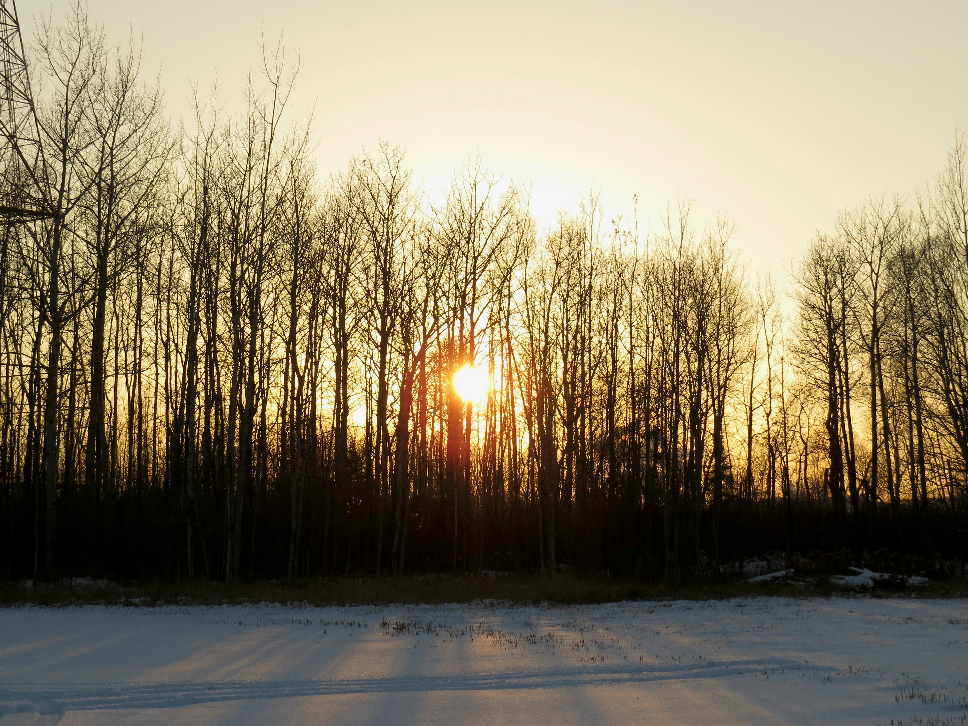 Photo by jaimedantas