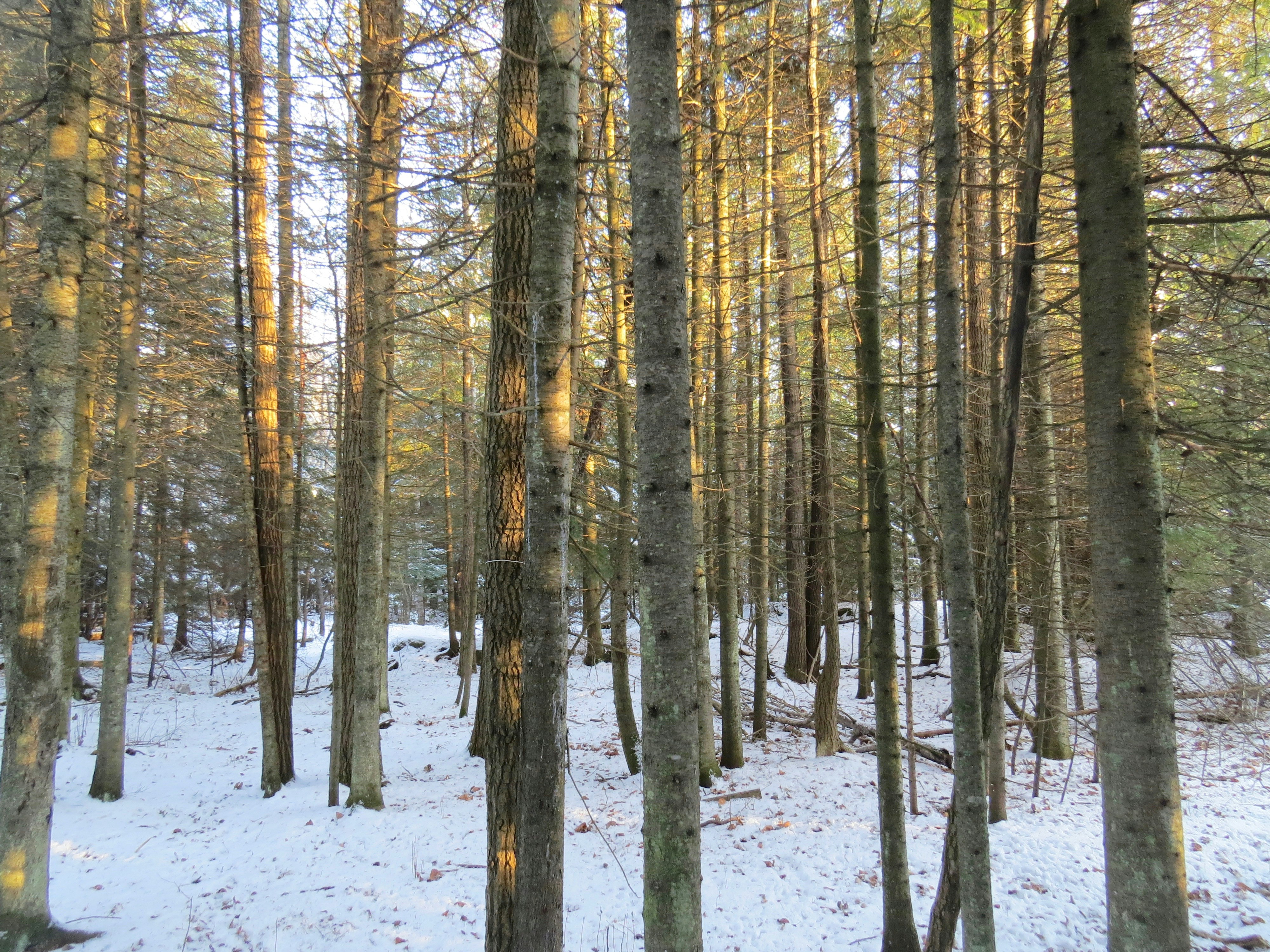 Photo by jaimedantas