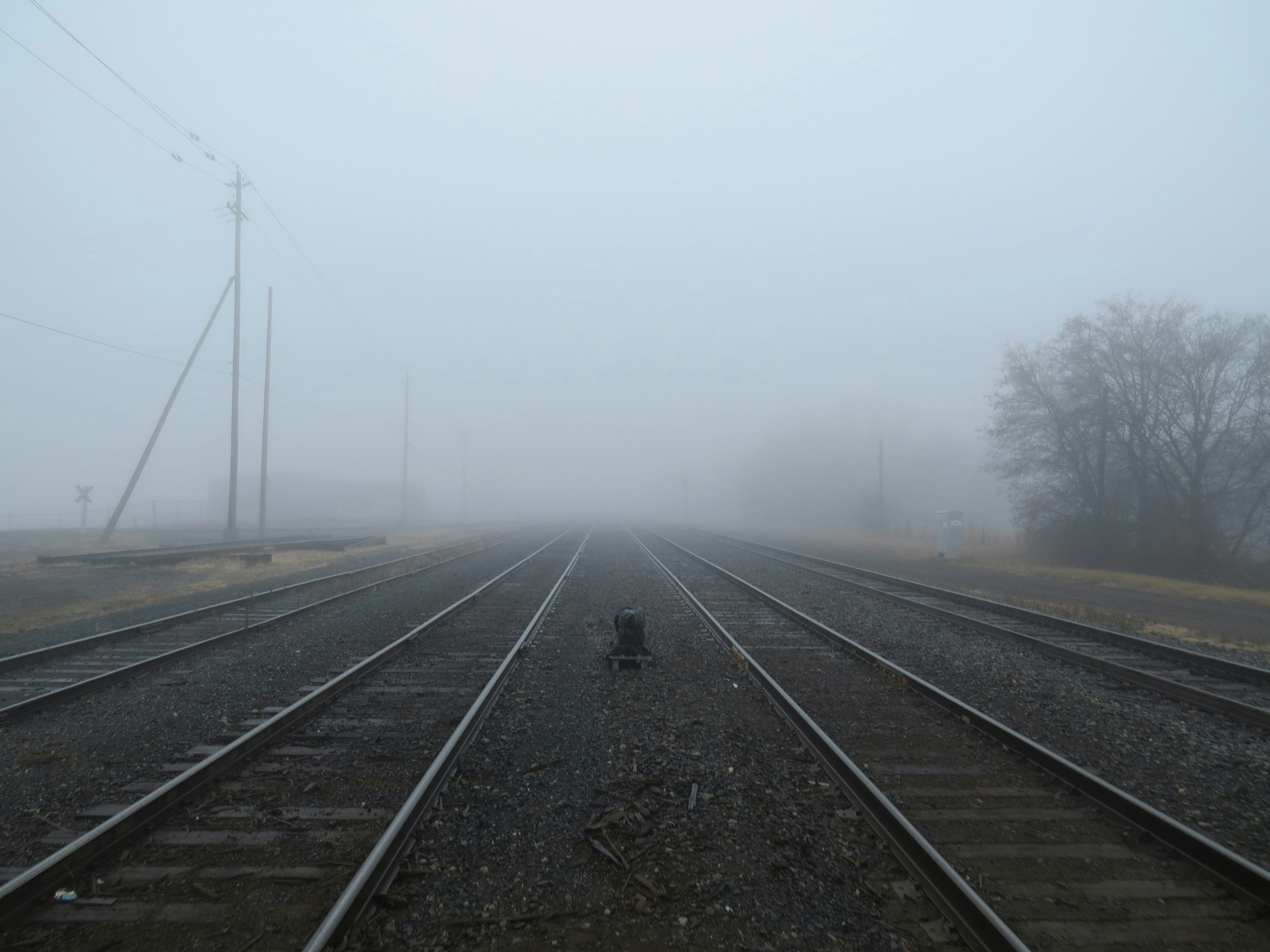 Photo by jaimedantas