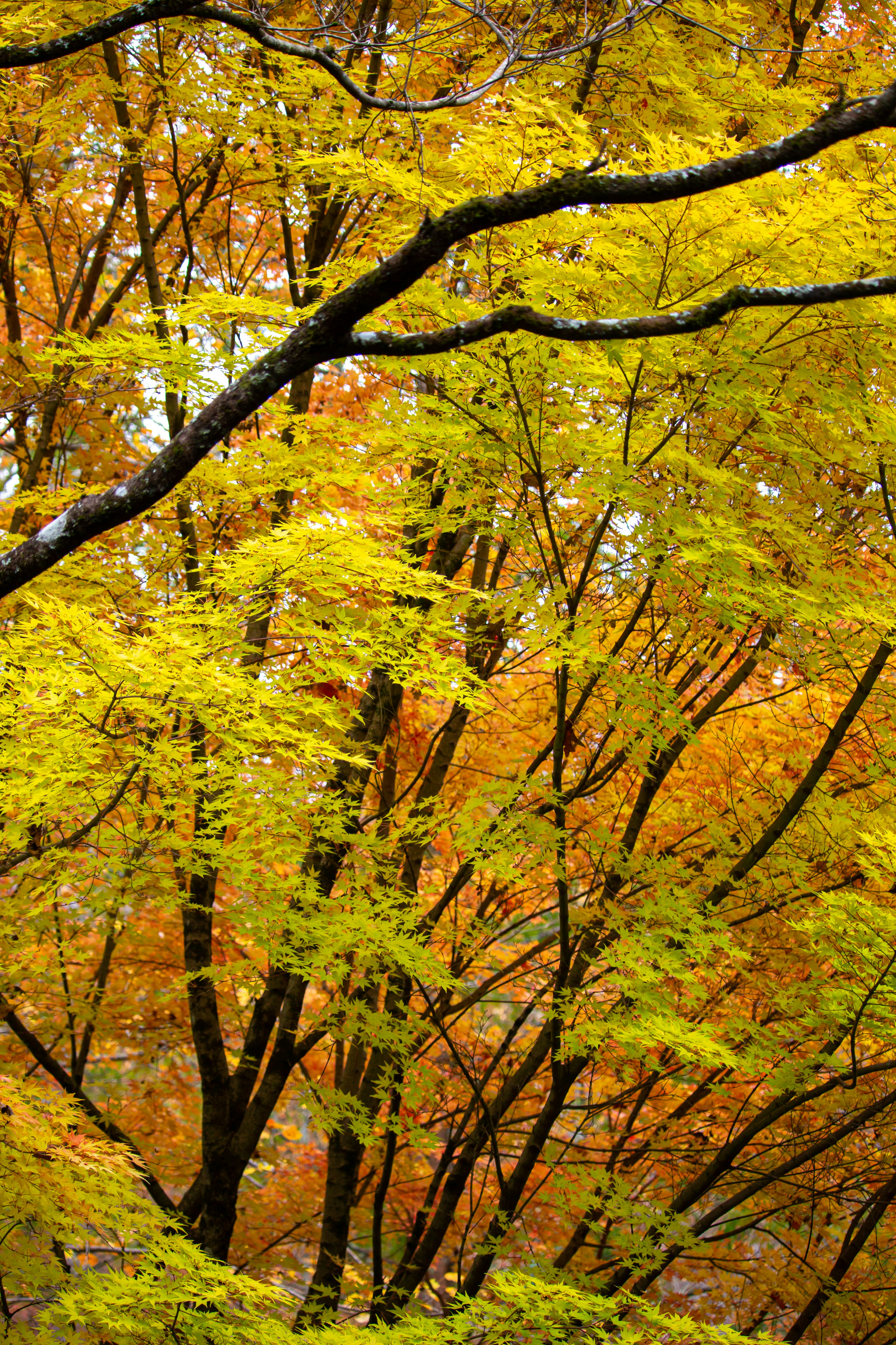 Photo by rendermouse