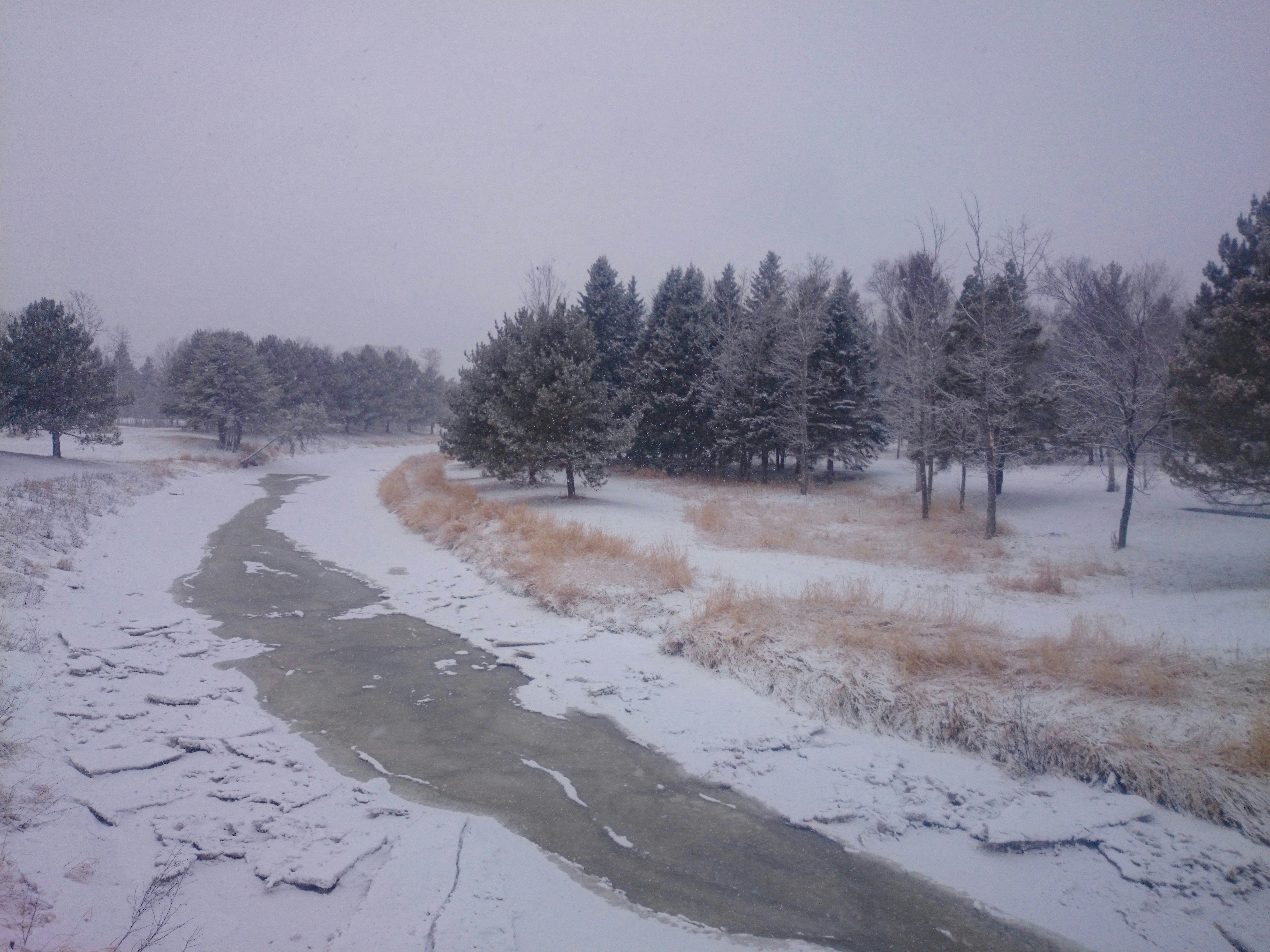 Photo by jaimedantas