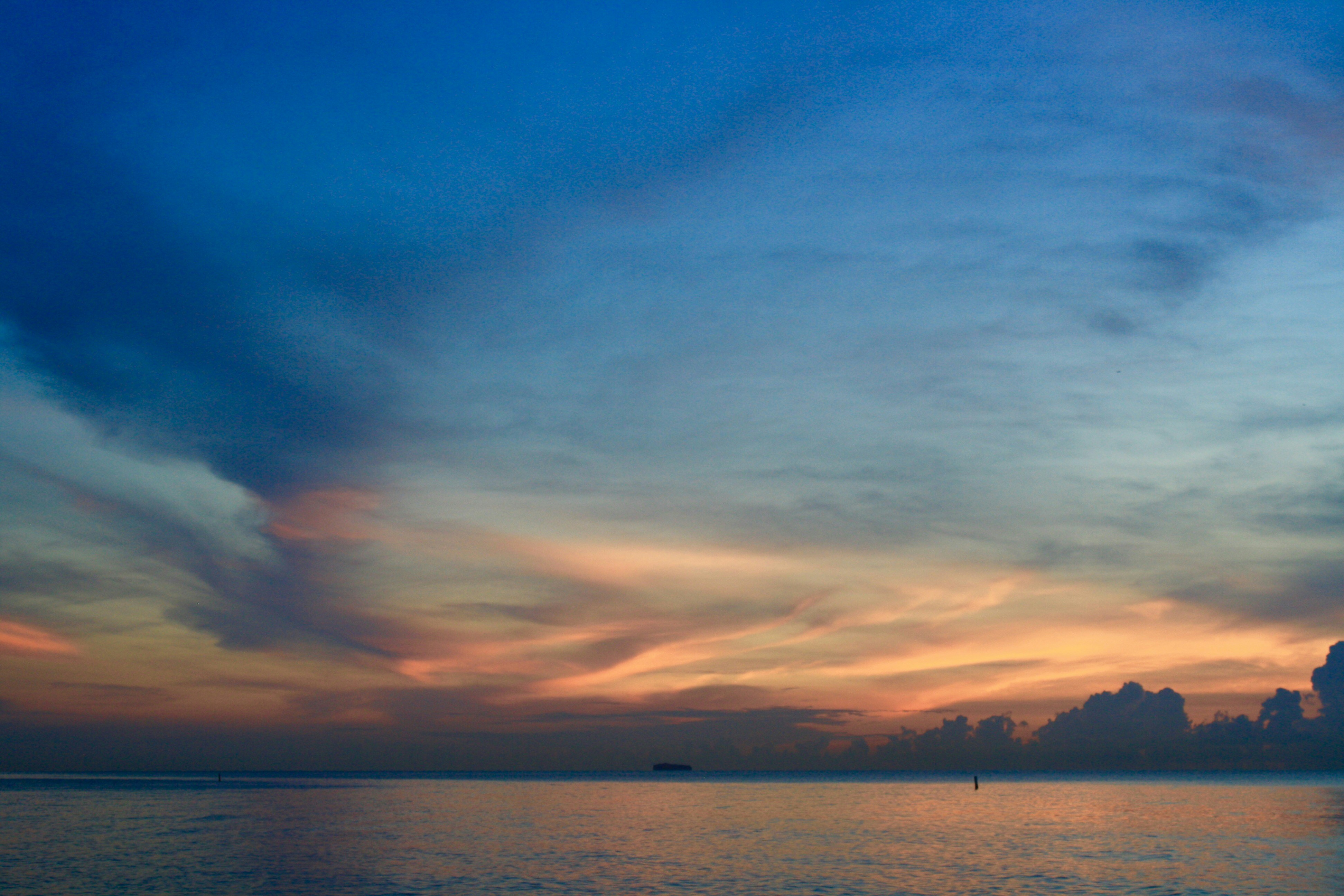 Photo by sandytoes2020