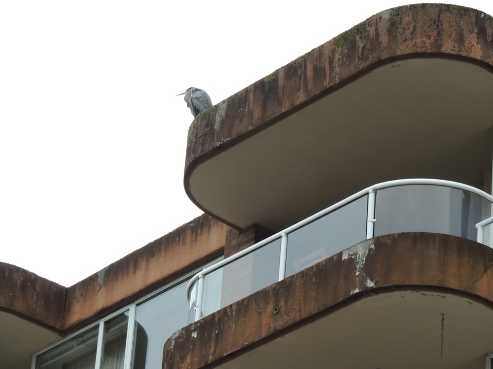 brown concrete building during daytime