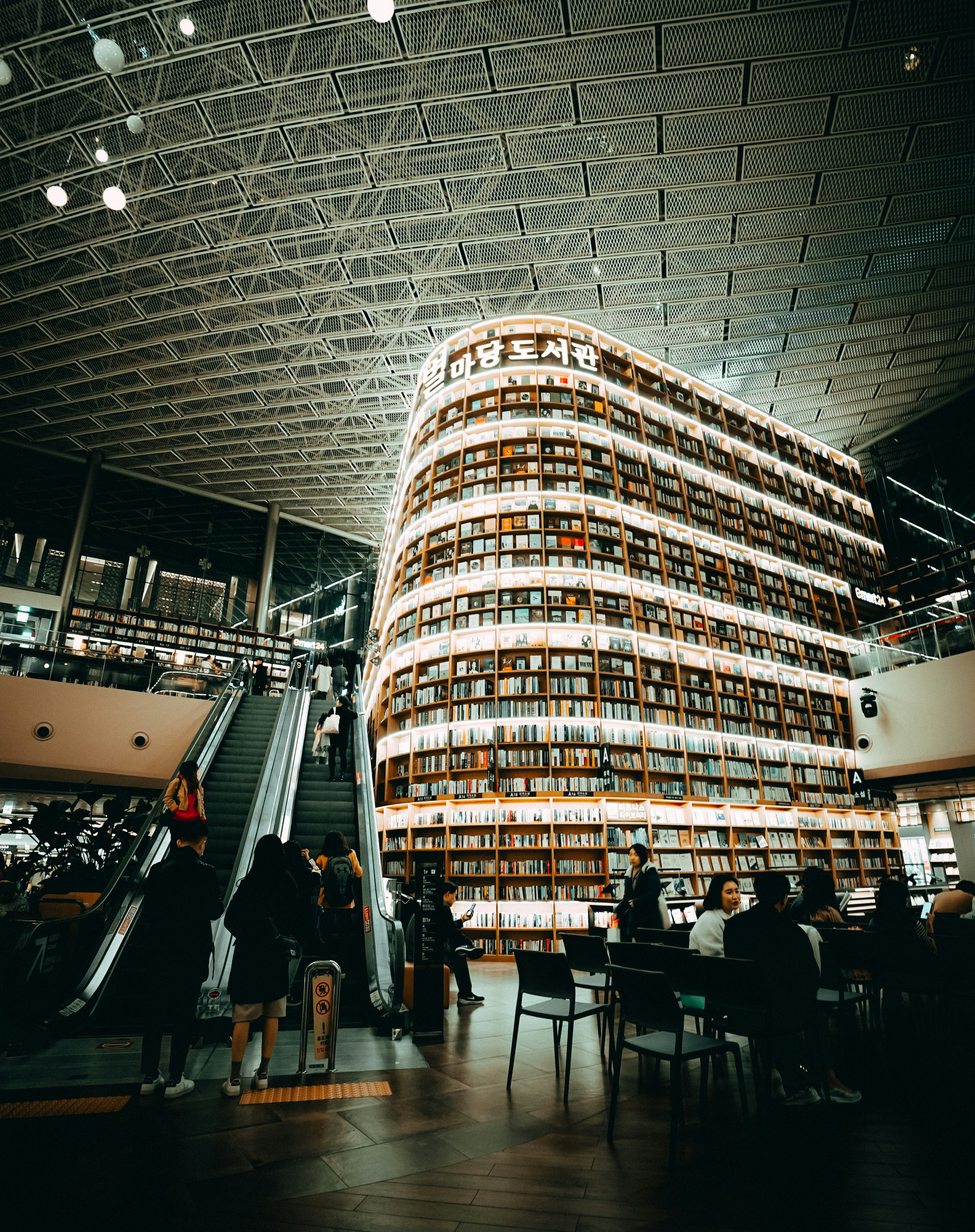 Photo by thinhngtrung