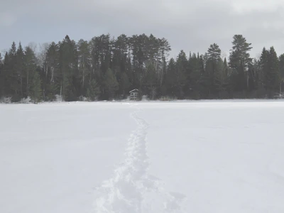 A serene snowy landscape with footprints leading toward a warm cabin.