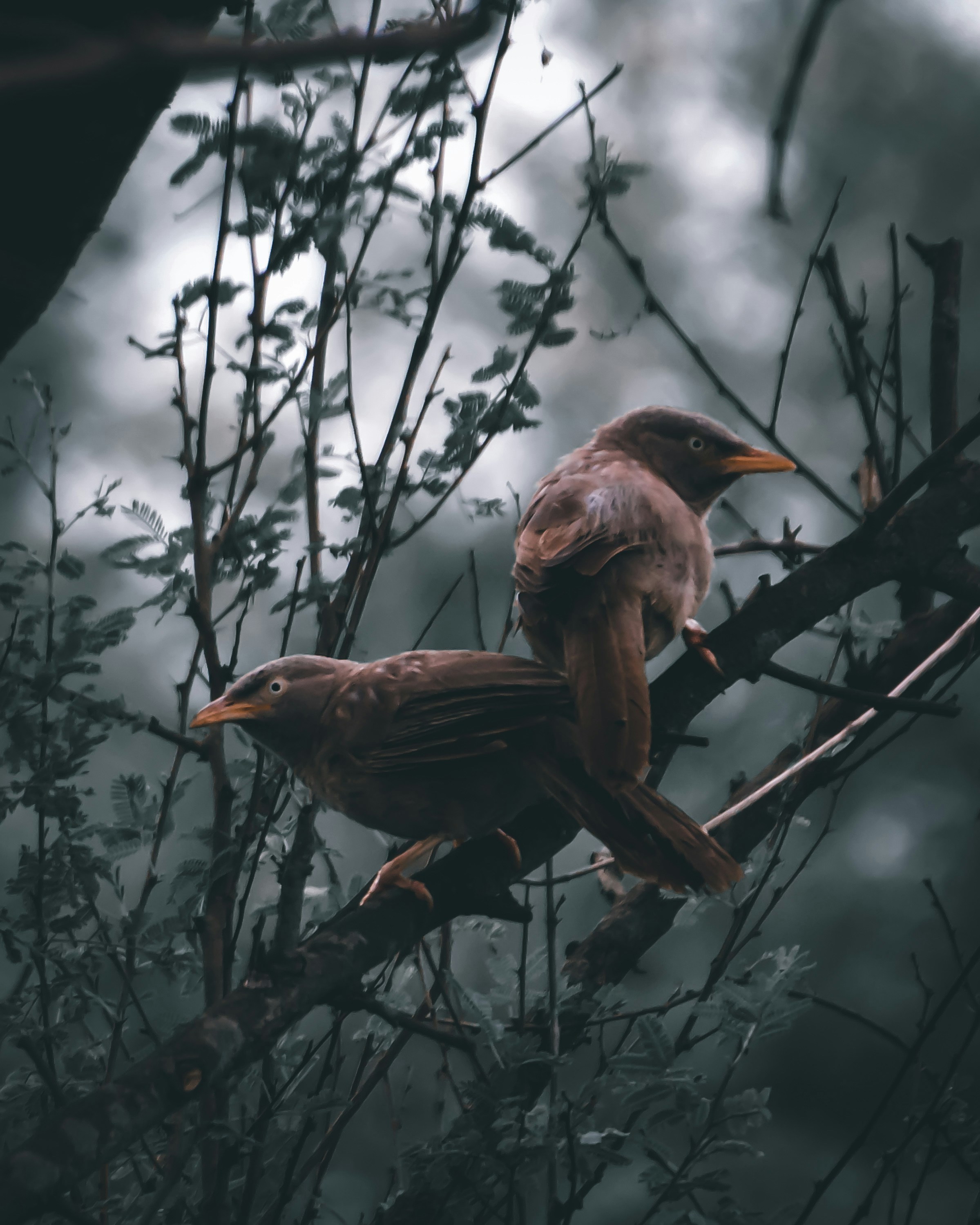 Photo by aperturediaries