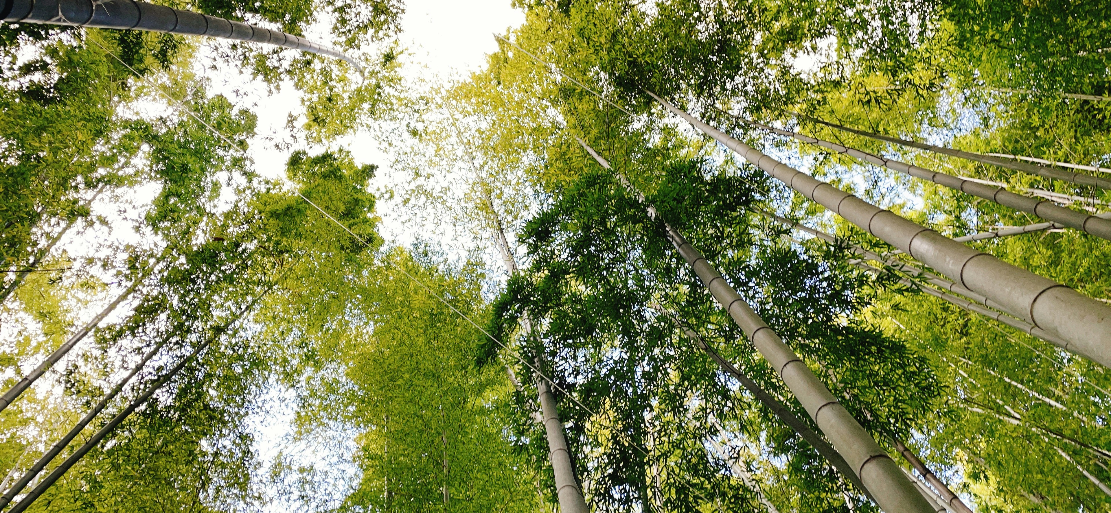 Introducing ContentGrow, a platform that lets anyone build a media outlet