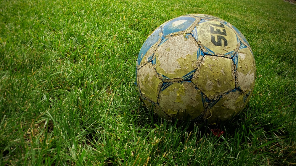 white and blue soccer ball on green grass field