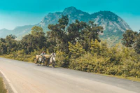 4-Day Itinerary for Vellore: A Day-by-Day Guide That Actually Works