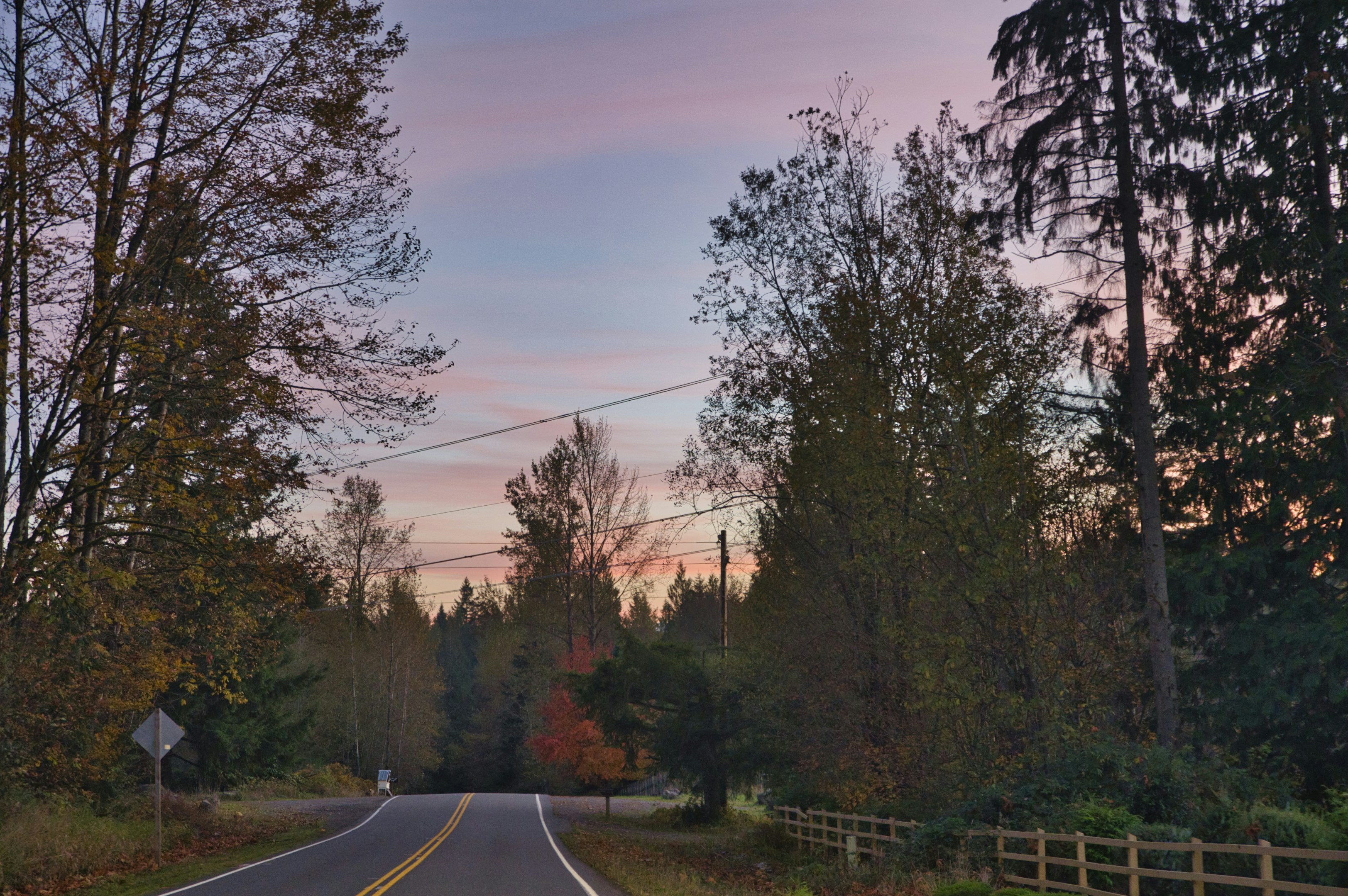 Gray asphalt road between green trees during daytime