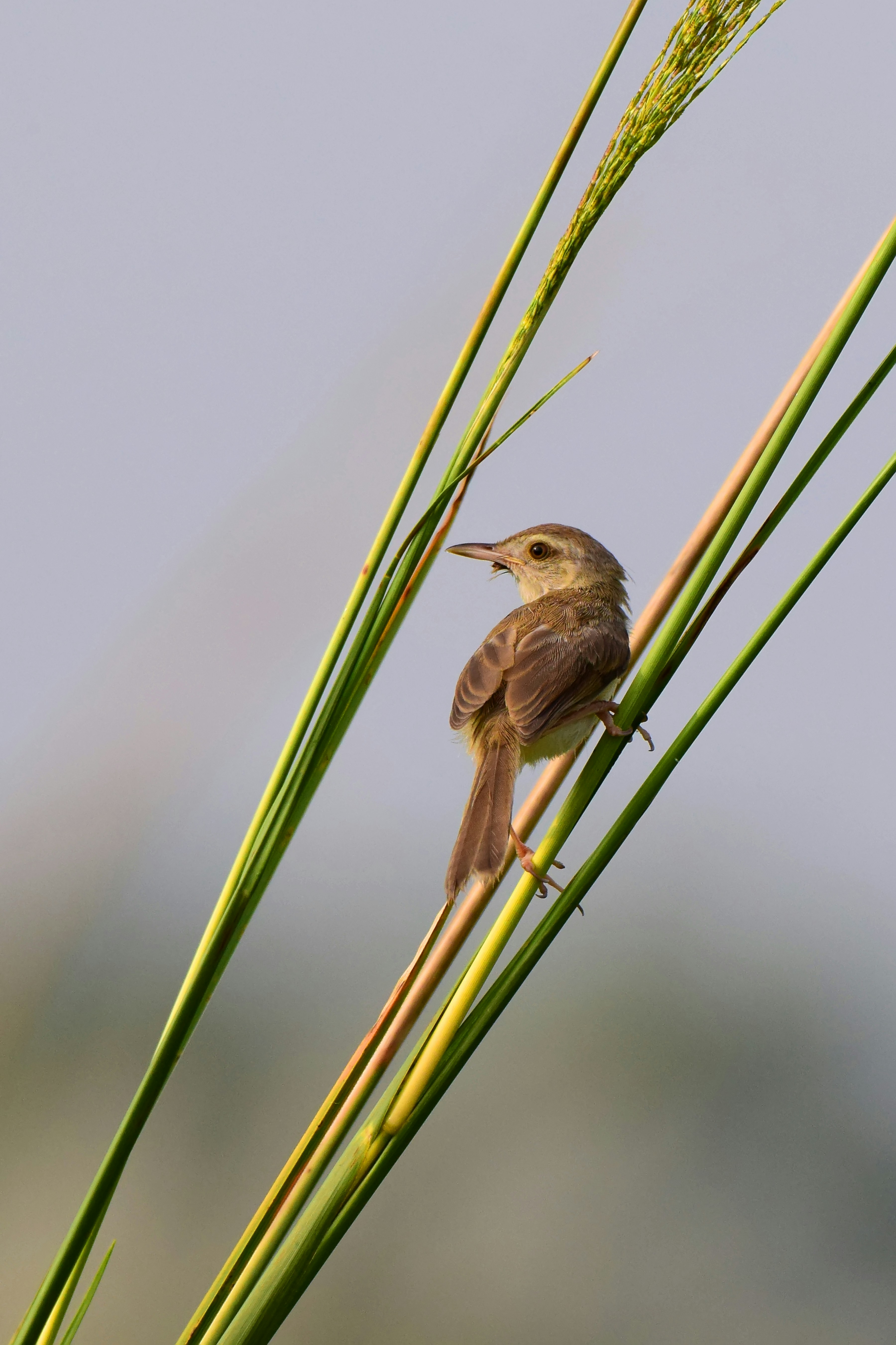 Photo by aperturediaries