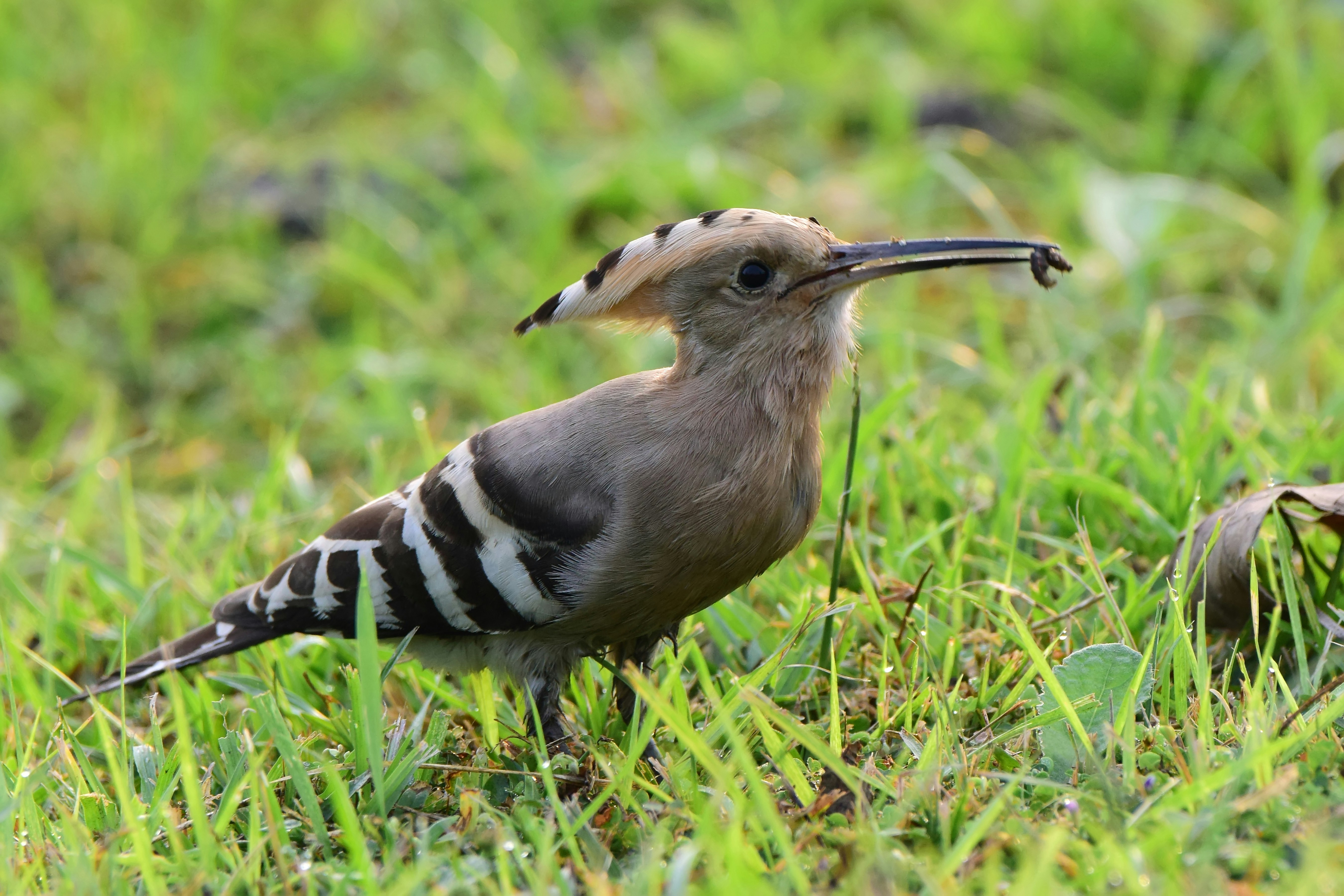 Photo by aperturediaries