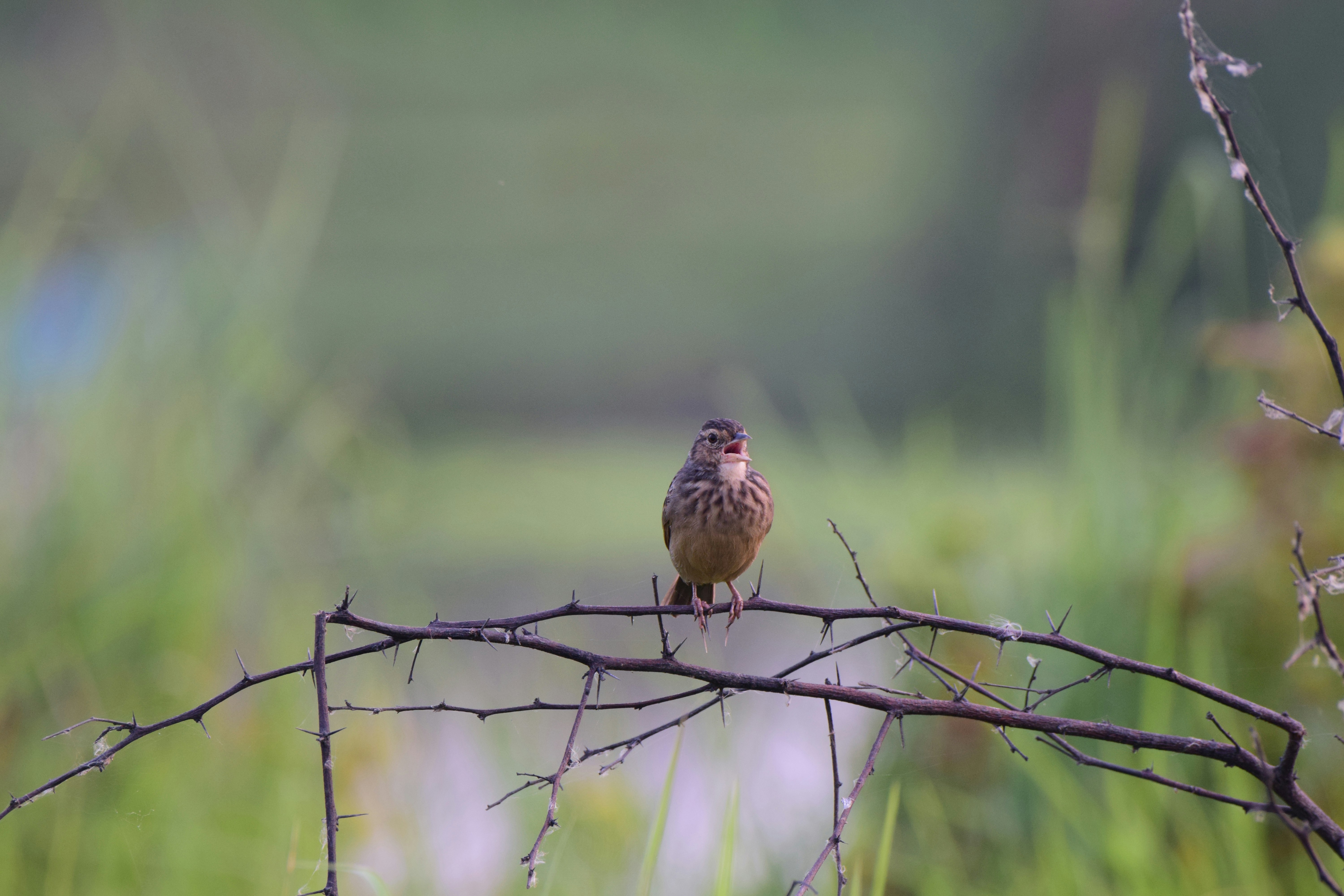 Photo by aperturediaries