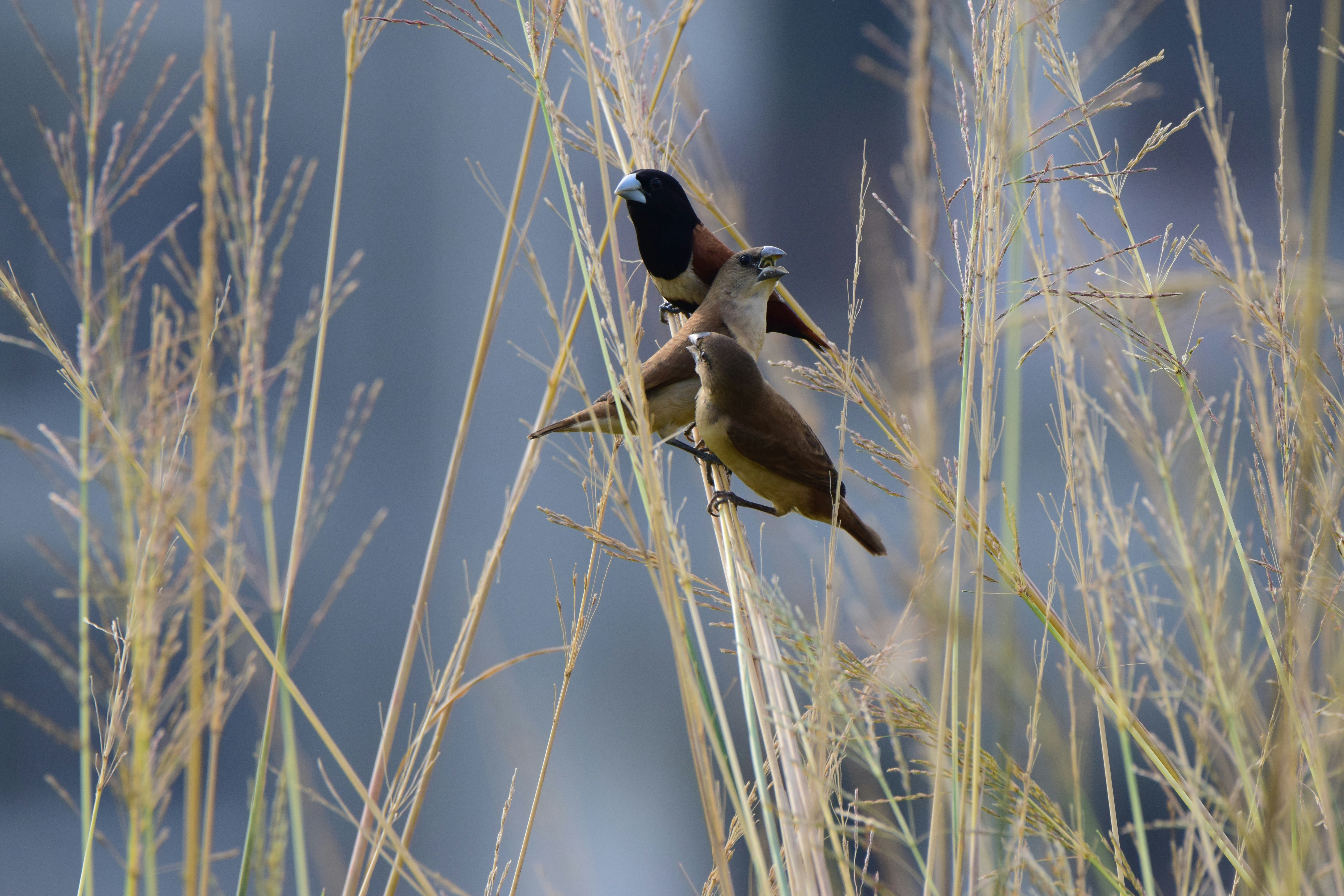 Photo by aperturediaries