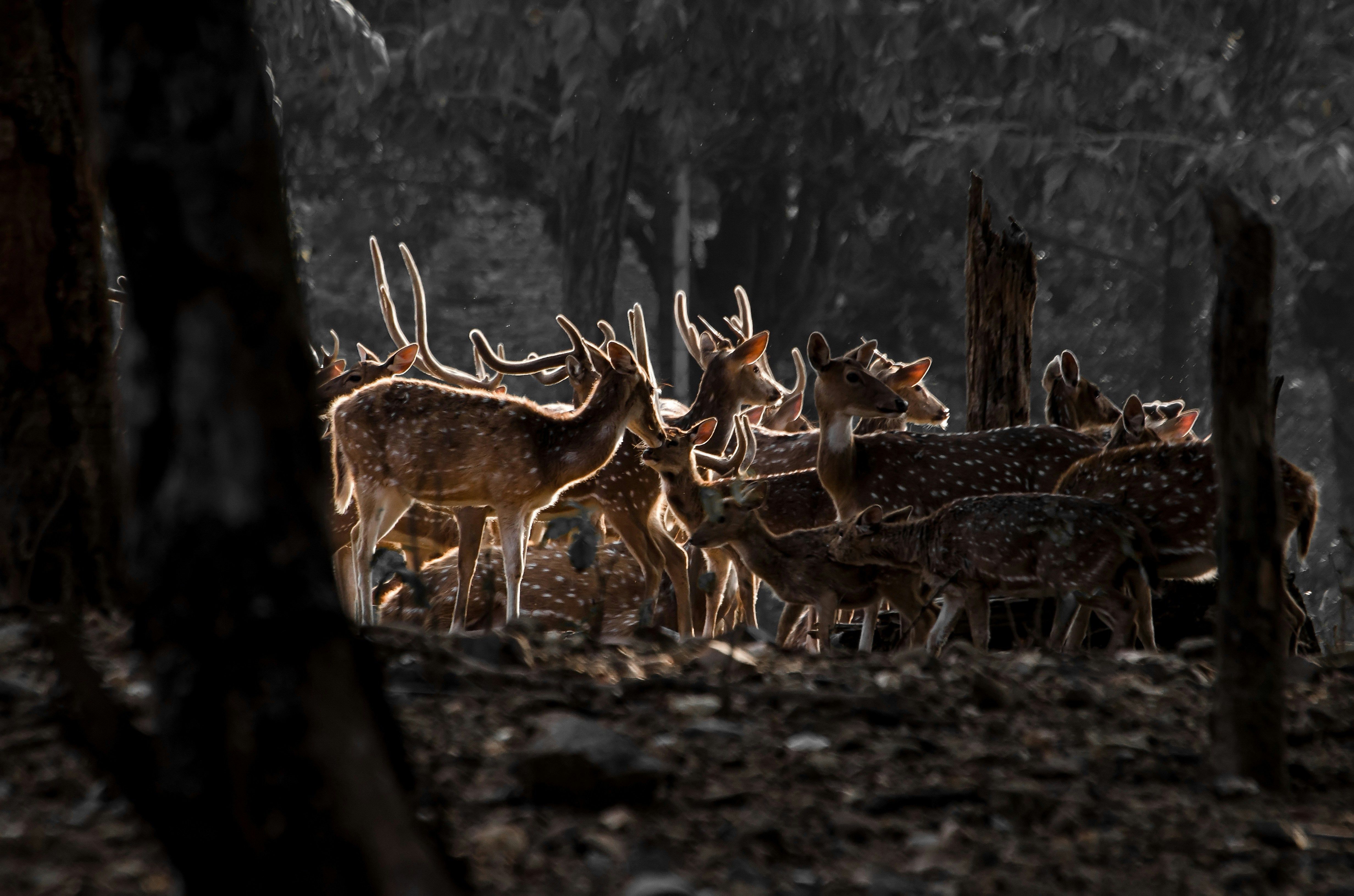 Photo by aperturediaries