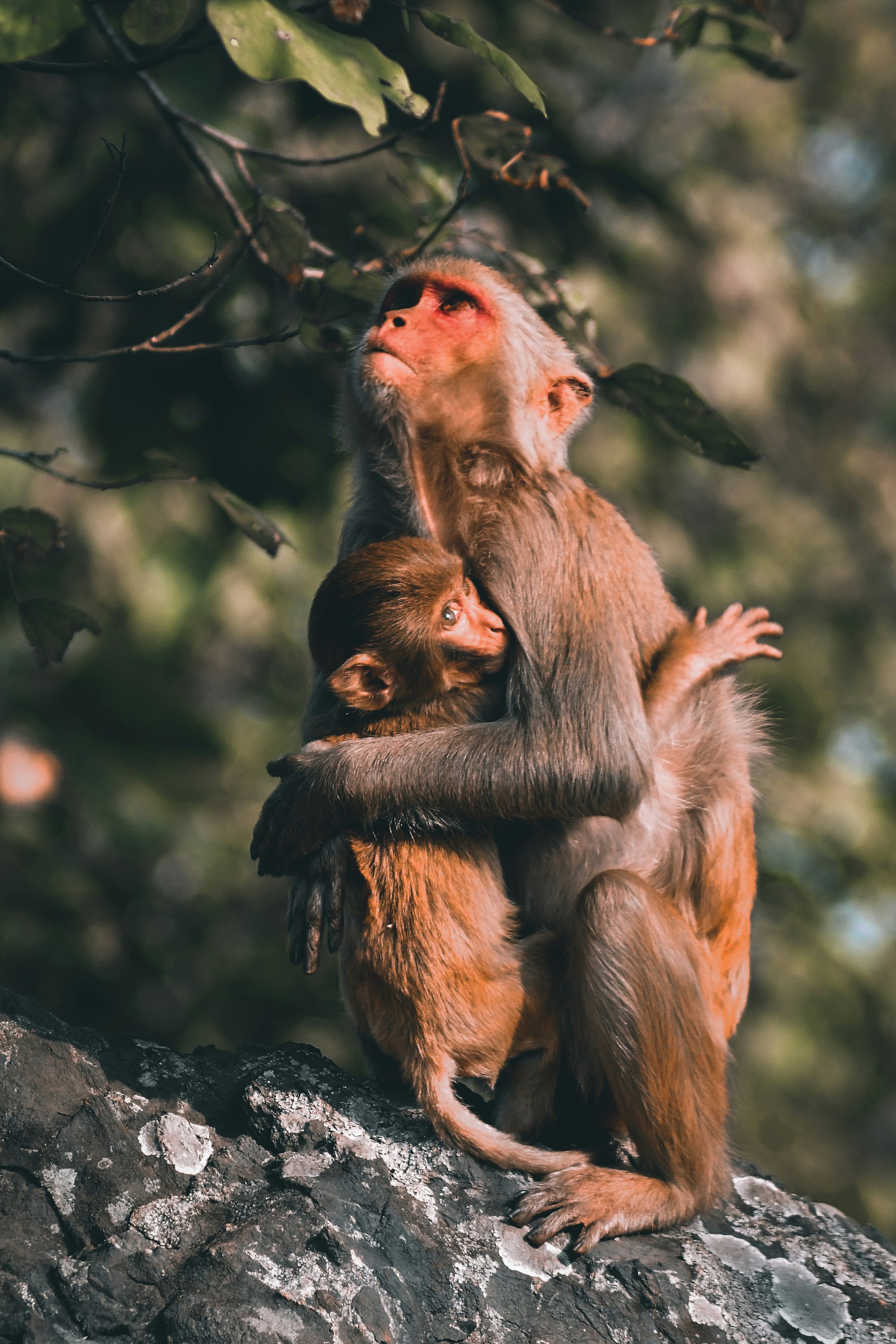 Photo by aperturediaries