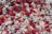 A vibrant collection of various corals closely packed together, displaying a striking contrast between the vivid red and orange corals against the stark white ones. The intricate textures and organic shapes are prominent, with some coral pieces having a porous appearance.