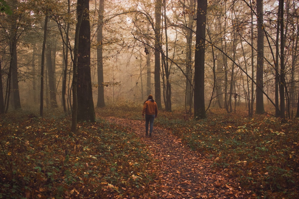 woman in brown coat walking on forest during daytime