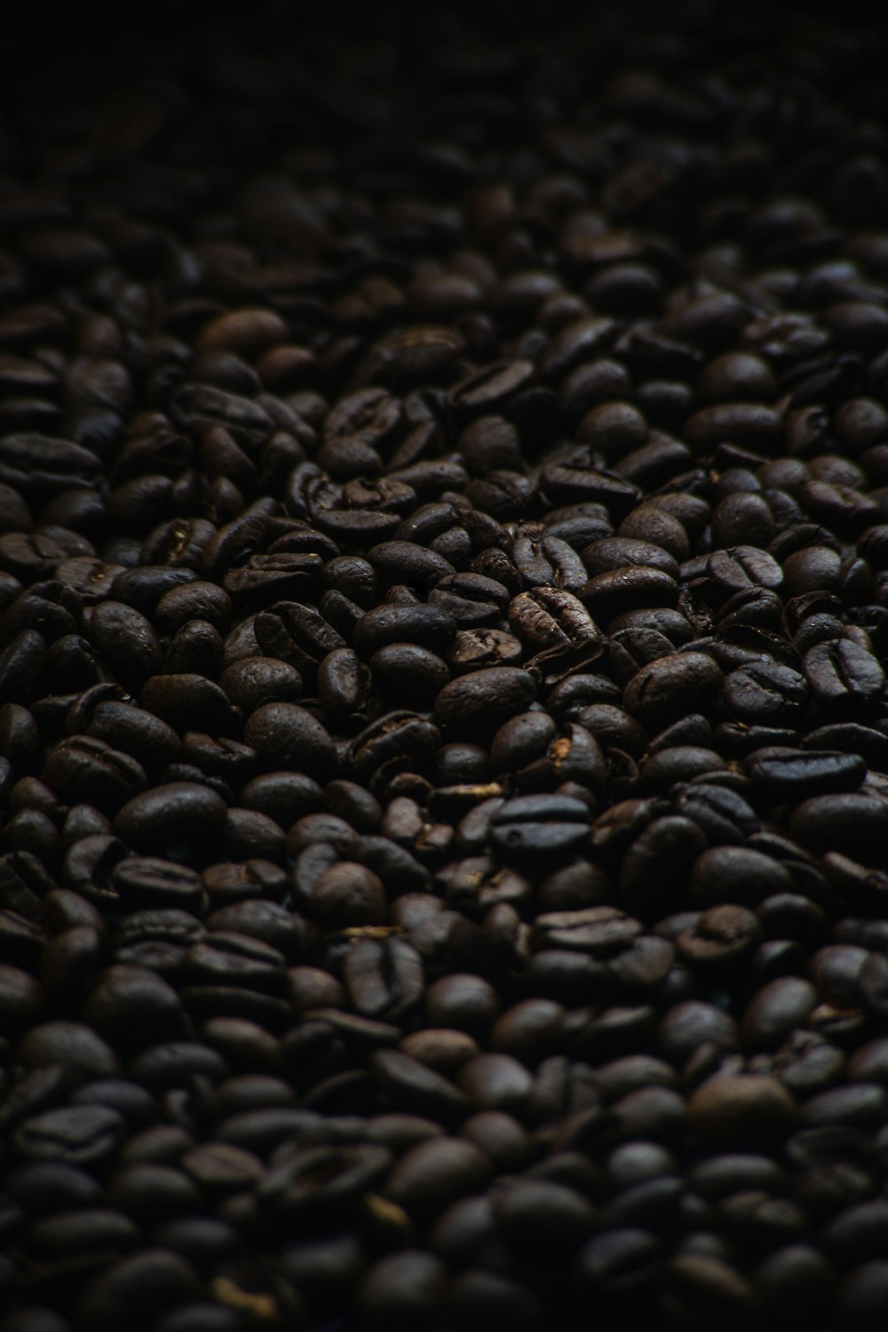 black coffee beans in close up photography