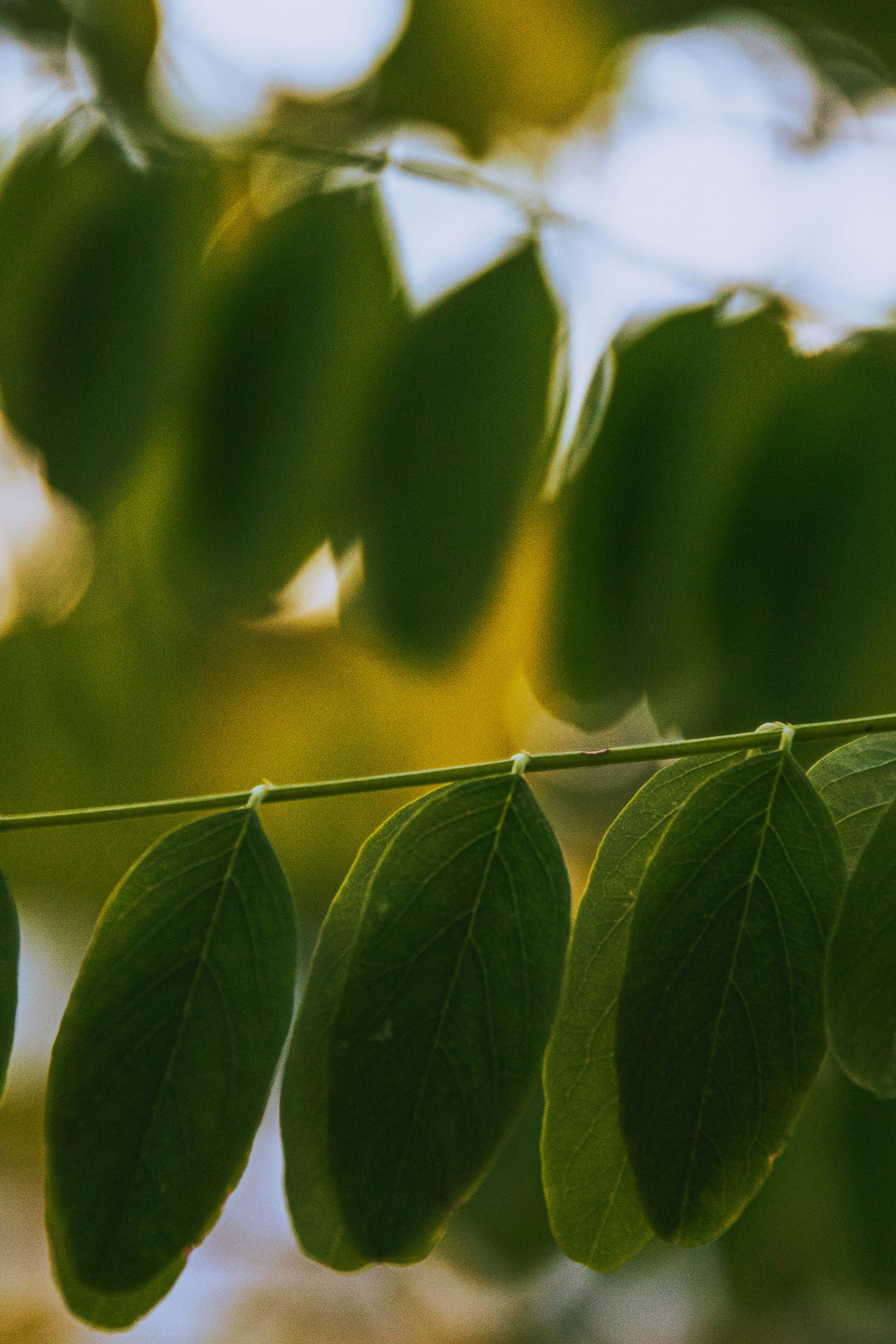 Photo by jeffrey_jpeg