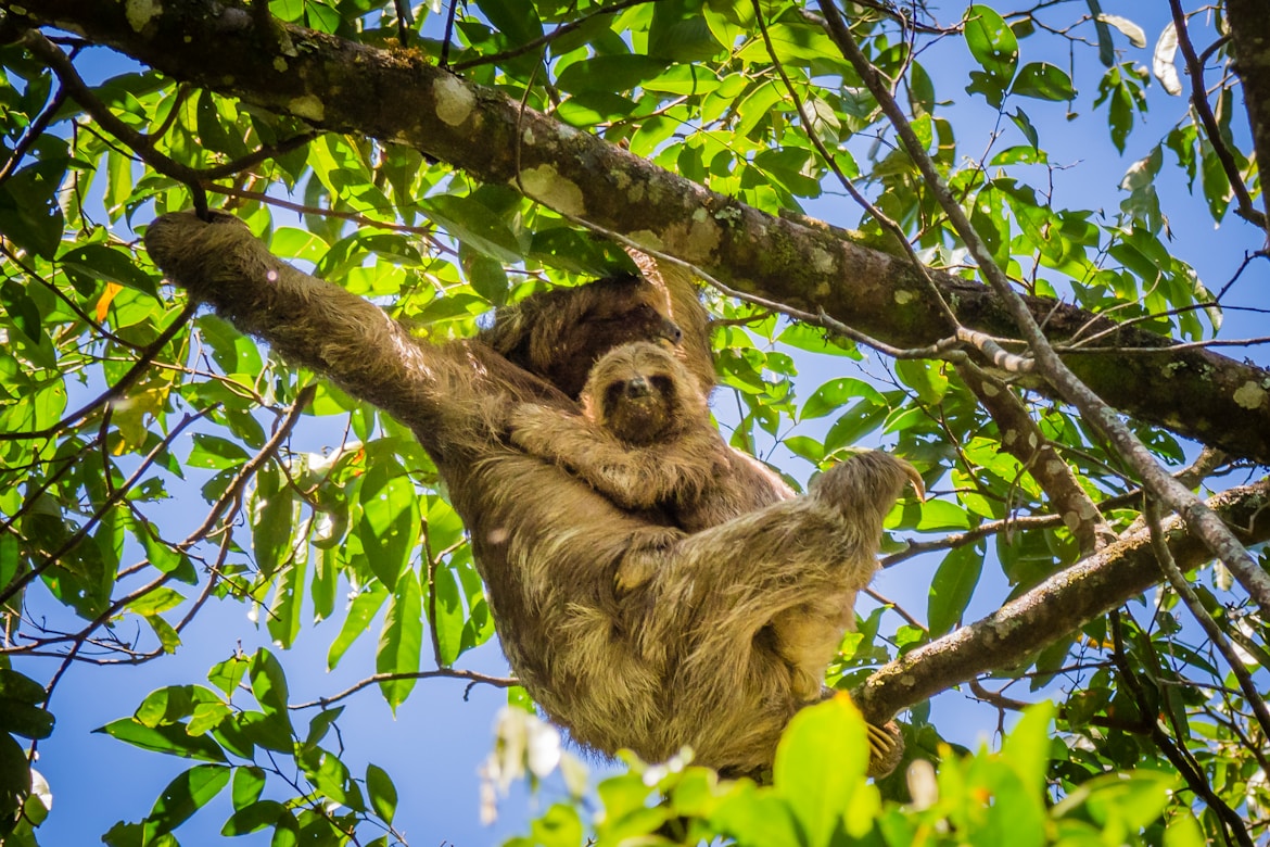 Nicaragua