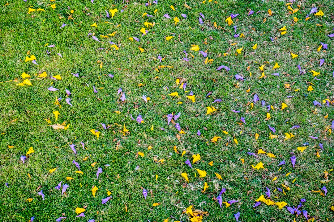 Natural landscape photo spot Amatitlán Guatemala