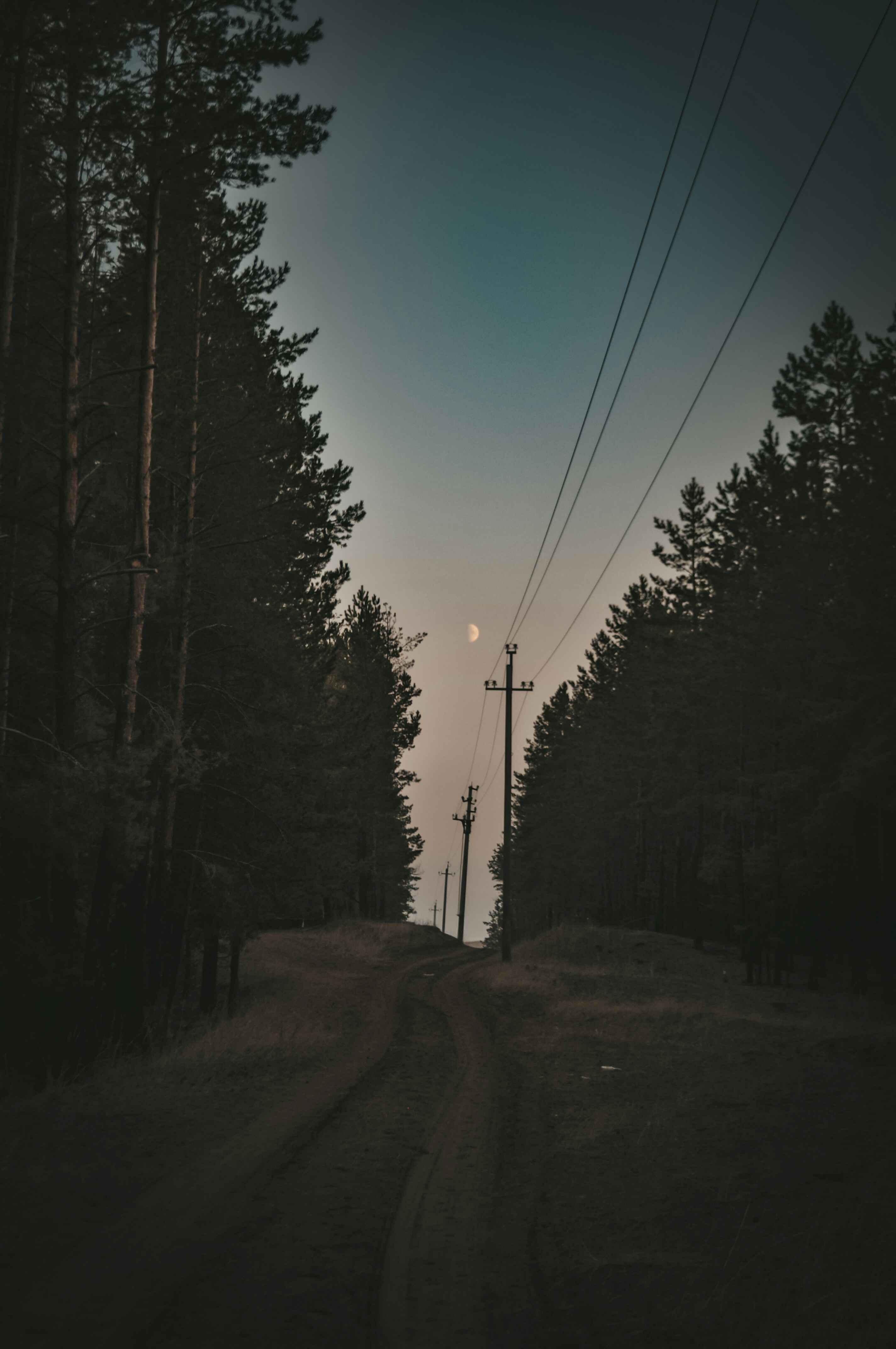 Why Your Political Emotions Aren't Really Yours