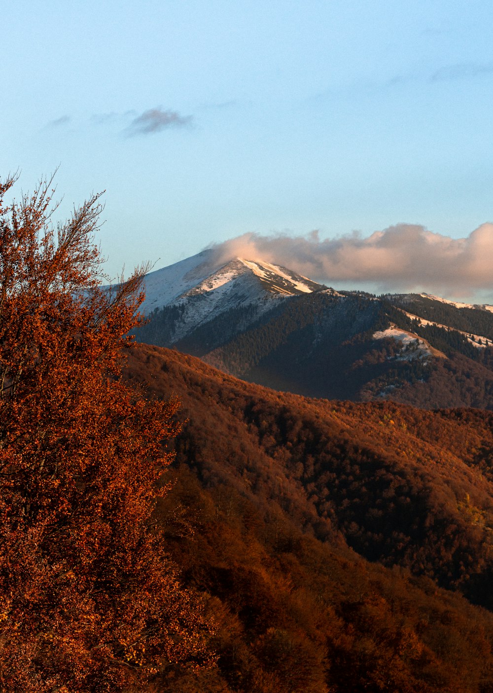 brown and green mountains under white clouds during daytime