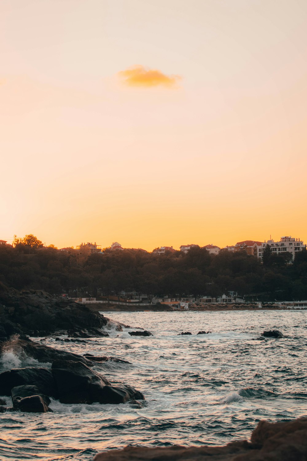 body of water near trees during sunset