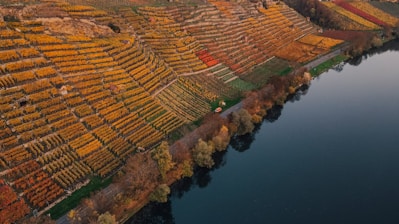 aerial view of brown and green field beside body of water during daytime